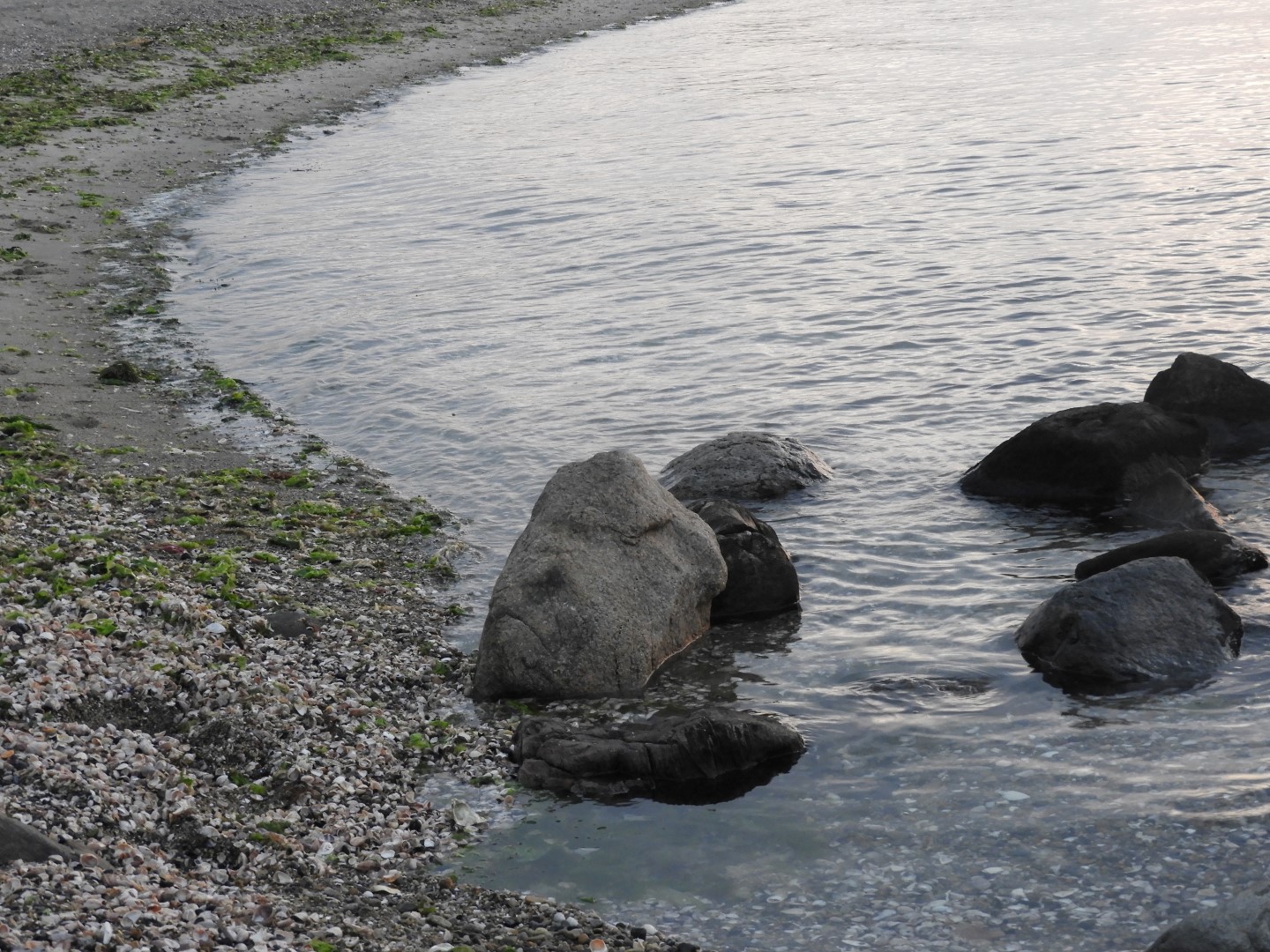 Sandy Point Beach RI 32 of 52 (#9908)