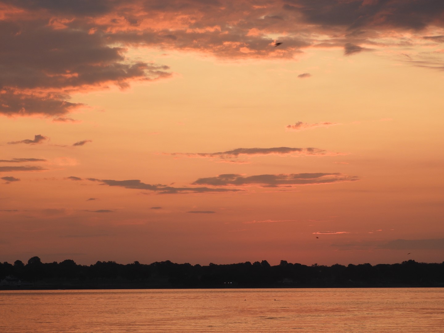 Sandy Point Beach RI 35 of 52 (#9913)