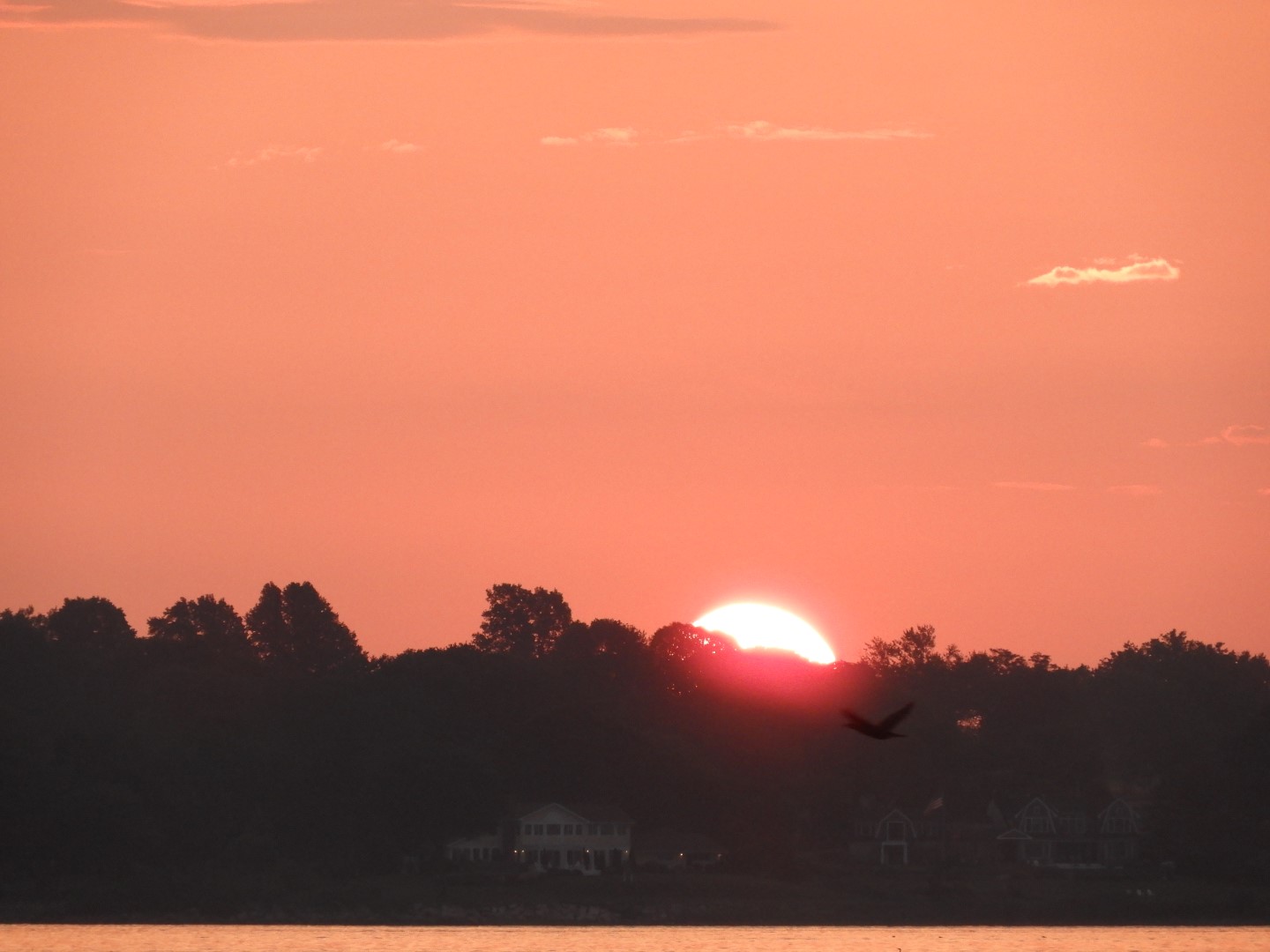 Sandy Point Beach RI 44 of 52 (#9923)