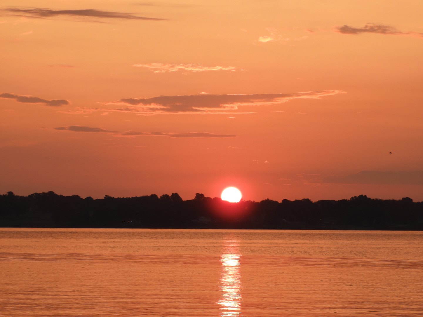 Sandy Point Beach RI 46 of 52 (#9925)