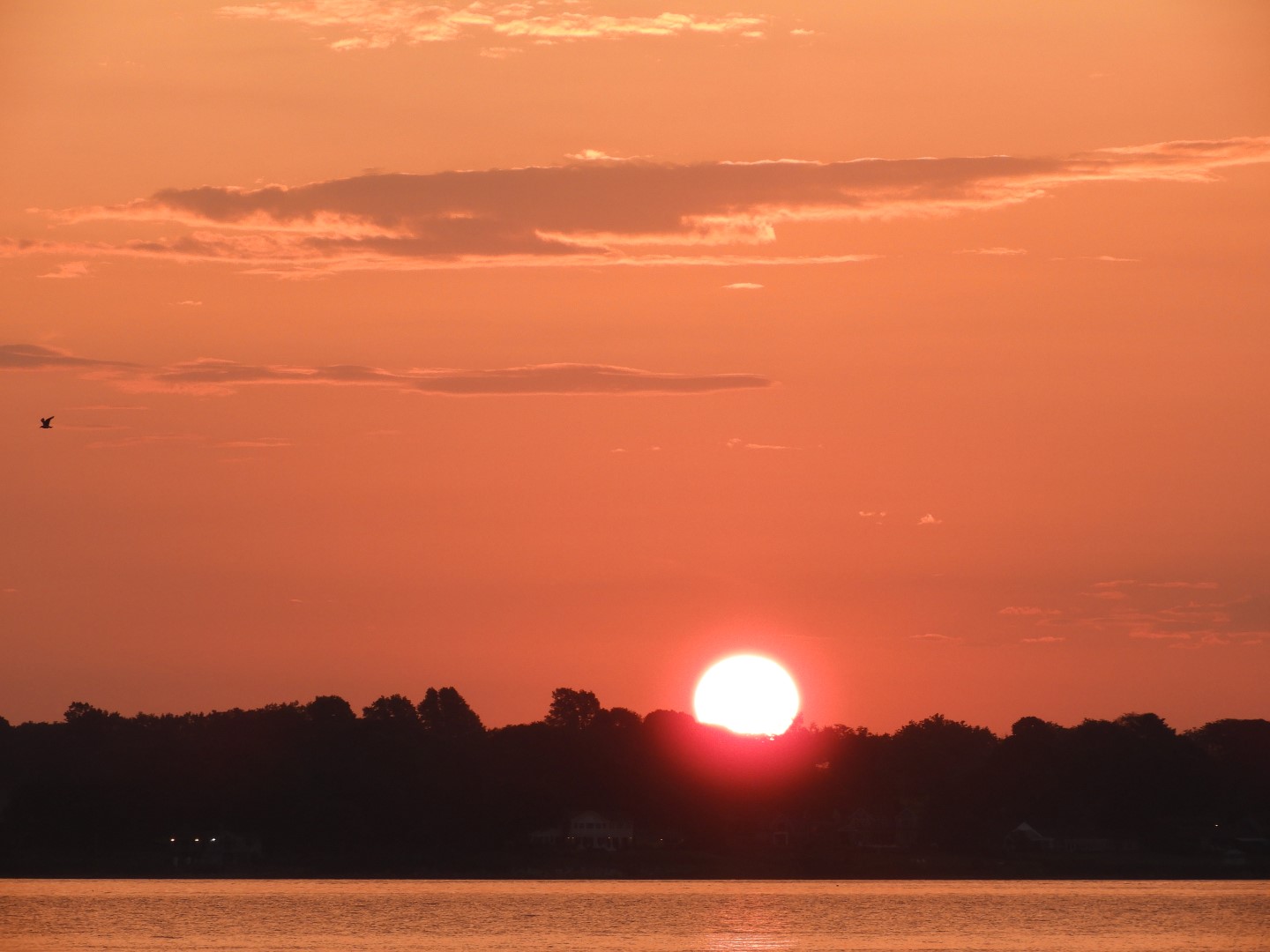 Sandy Point Beach RI 47 of 52 (#9926)