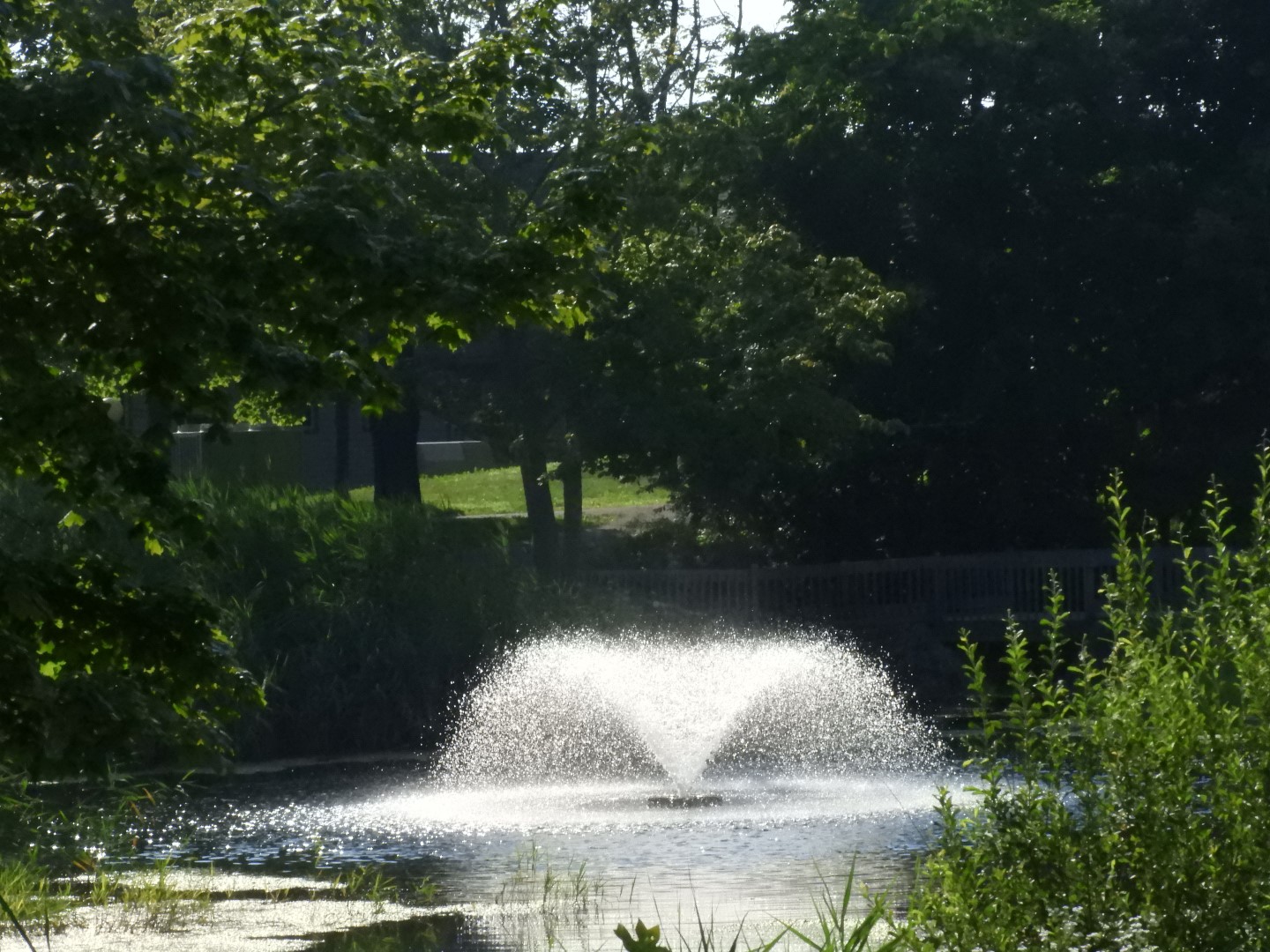 Roger Williams University RI 6 of  6 (#9968)