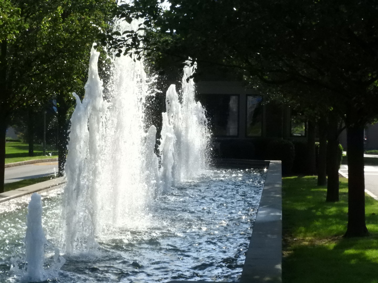 Roger Williams University RI 4 of  6 (#9972)