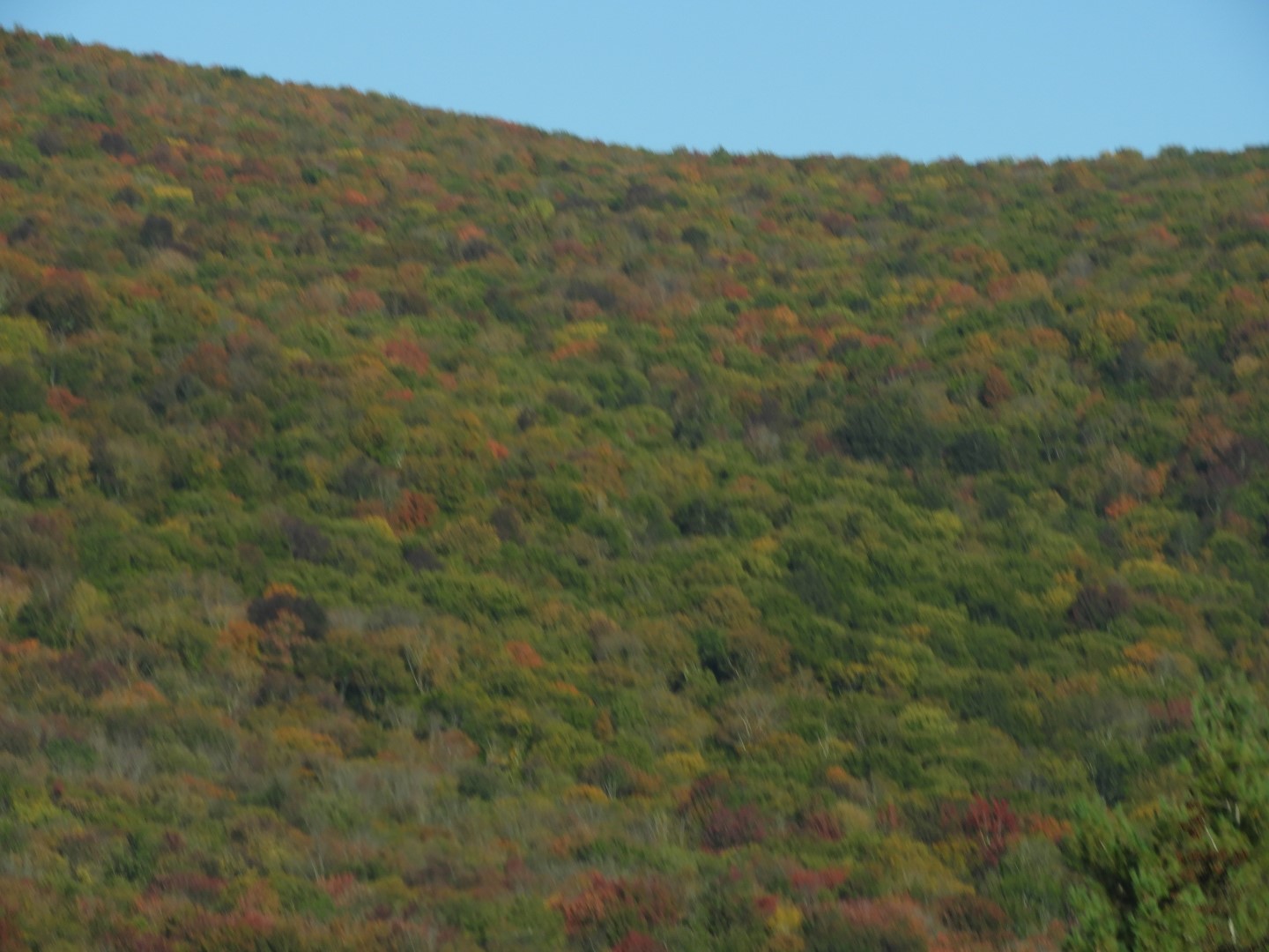 Sites along interstate through central New Hampshire 11 of 14 (#0070)
