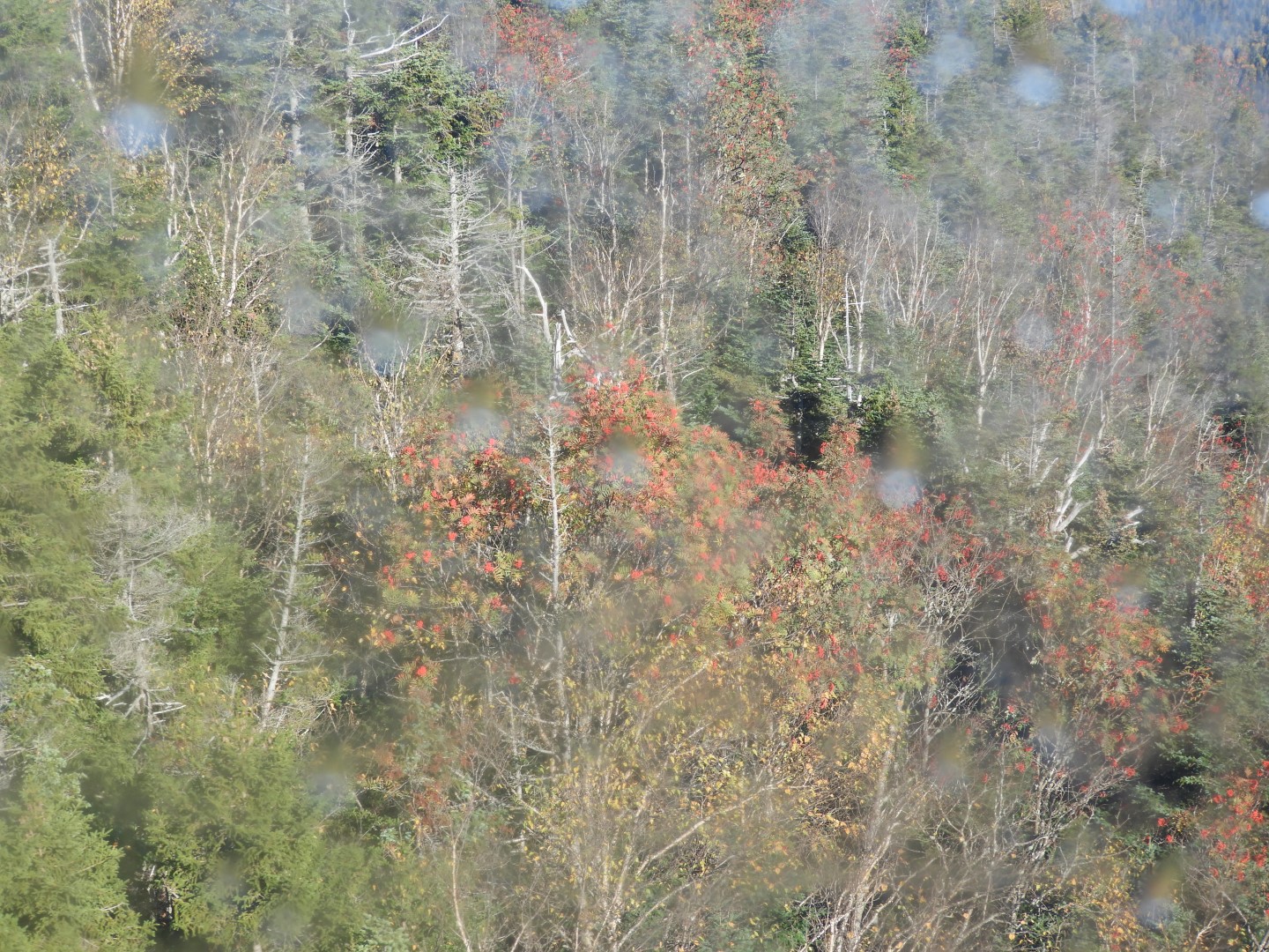 Tramway near Lincoln New Hampshire 10 of 22 (#0099)