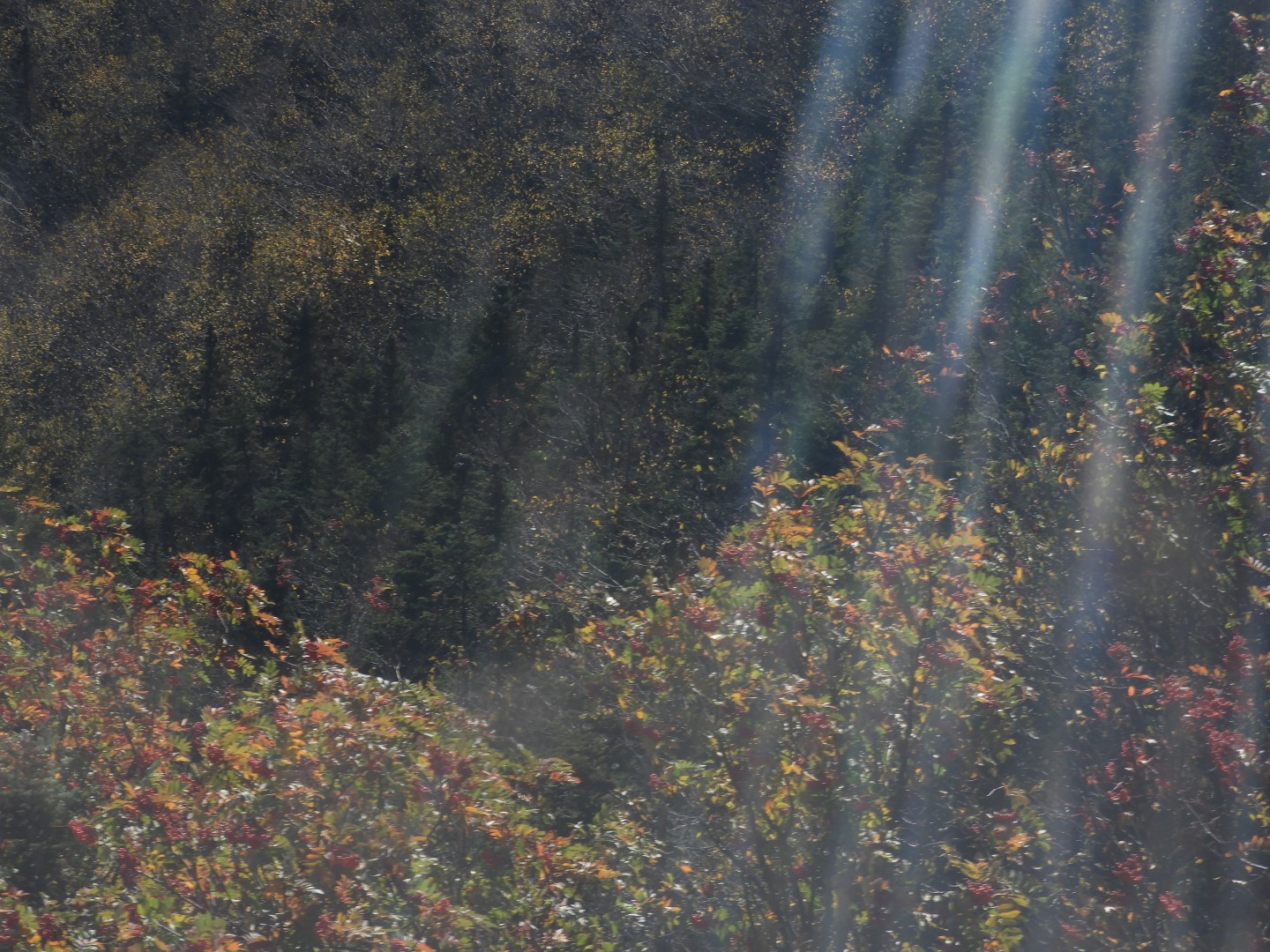 Tramway near Lincoln New Hampshire 18 of 22 (#0110)