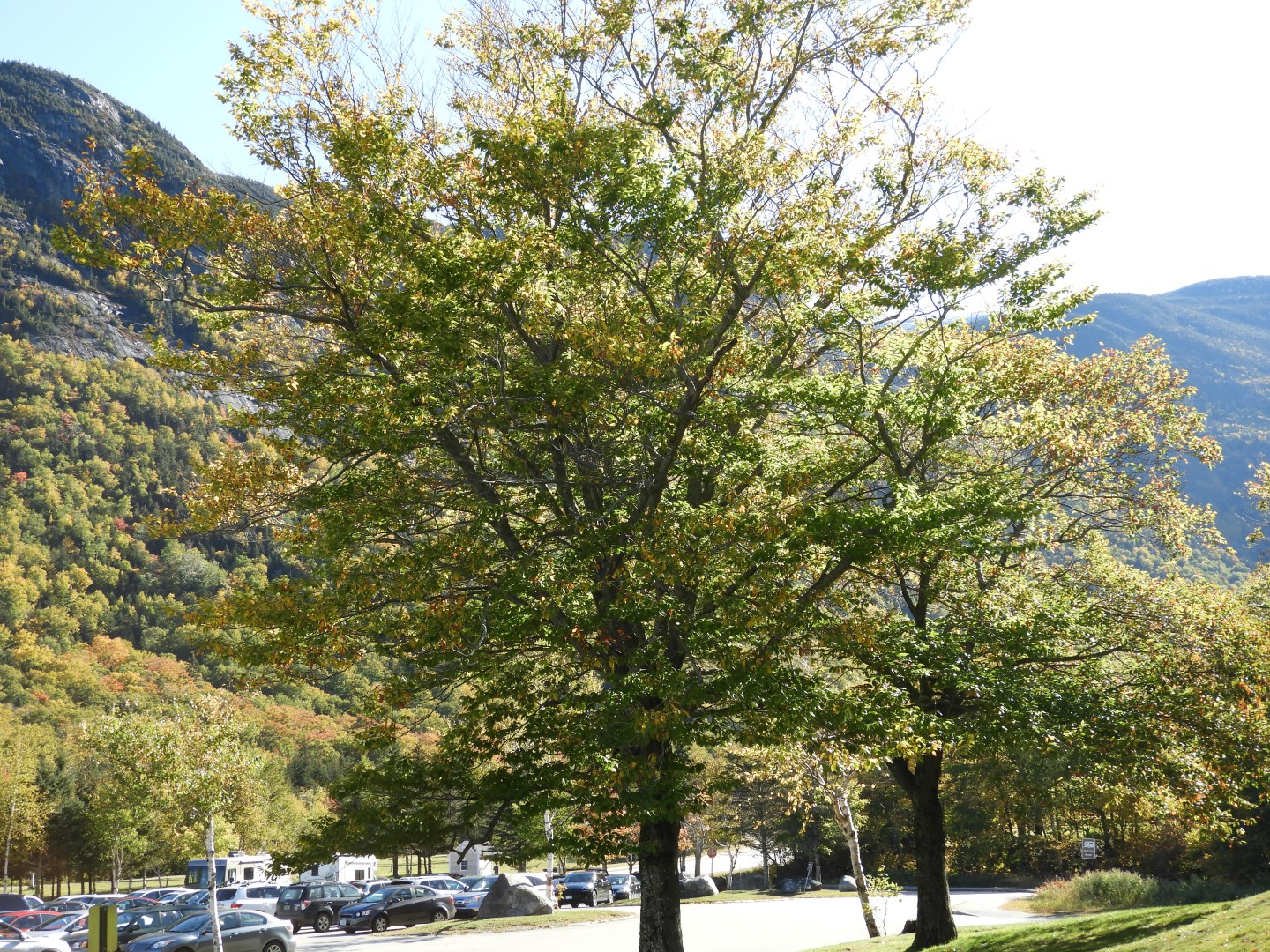 Tramway near Lincoln New Hampshire 22 of 22 (#0116)