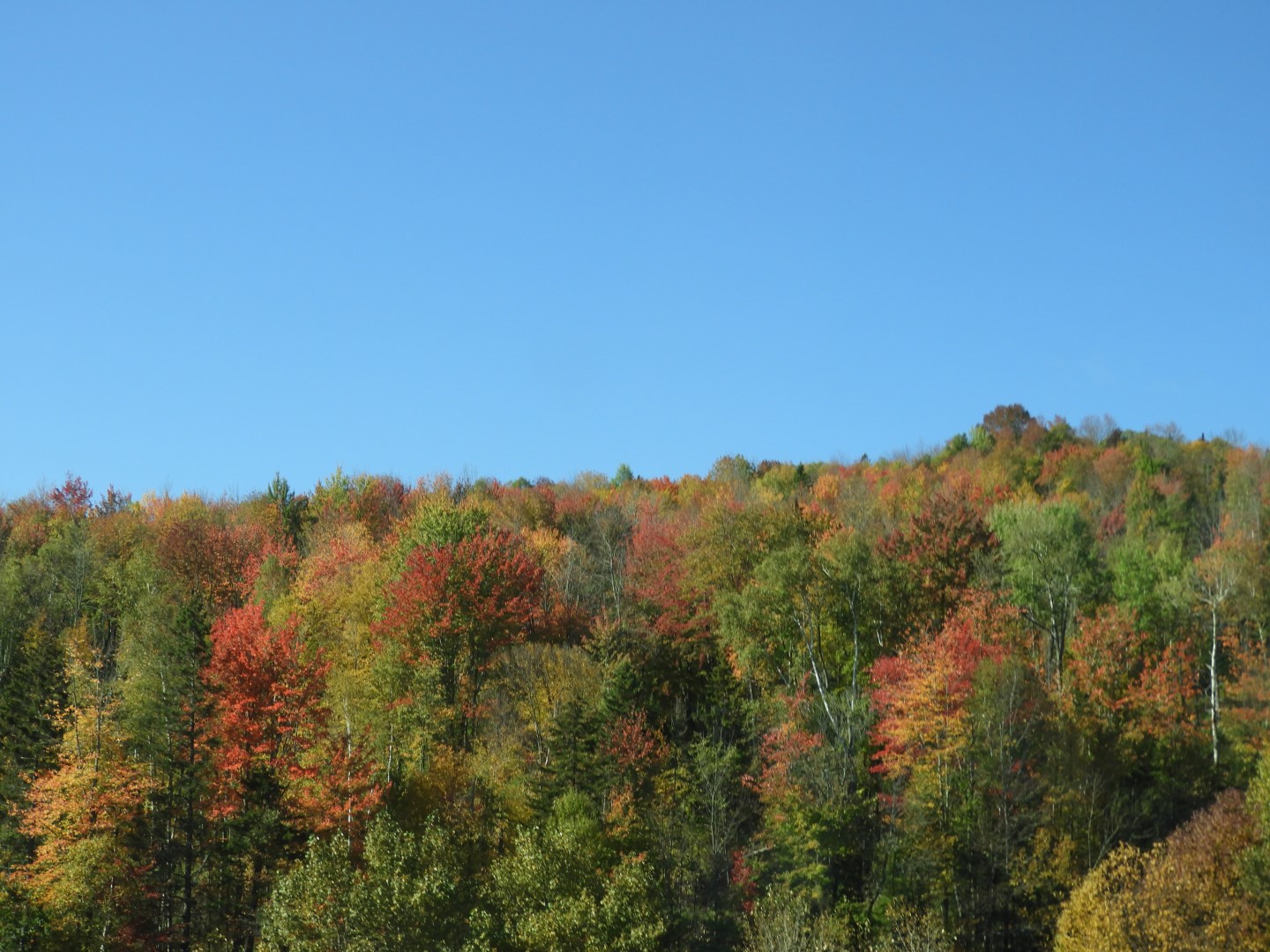 Highway sites in northeastern Vermont  8 of 36 (#0131)