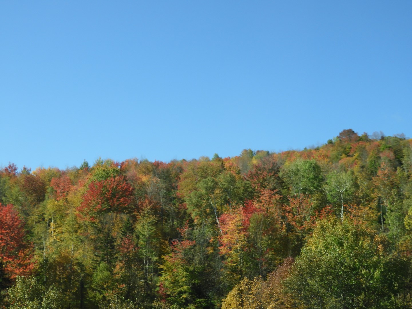 Highway sites in northeastern Vermont  9 of 36 (#0132)