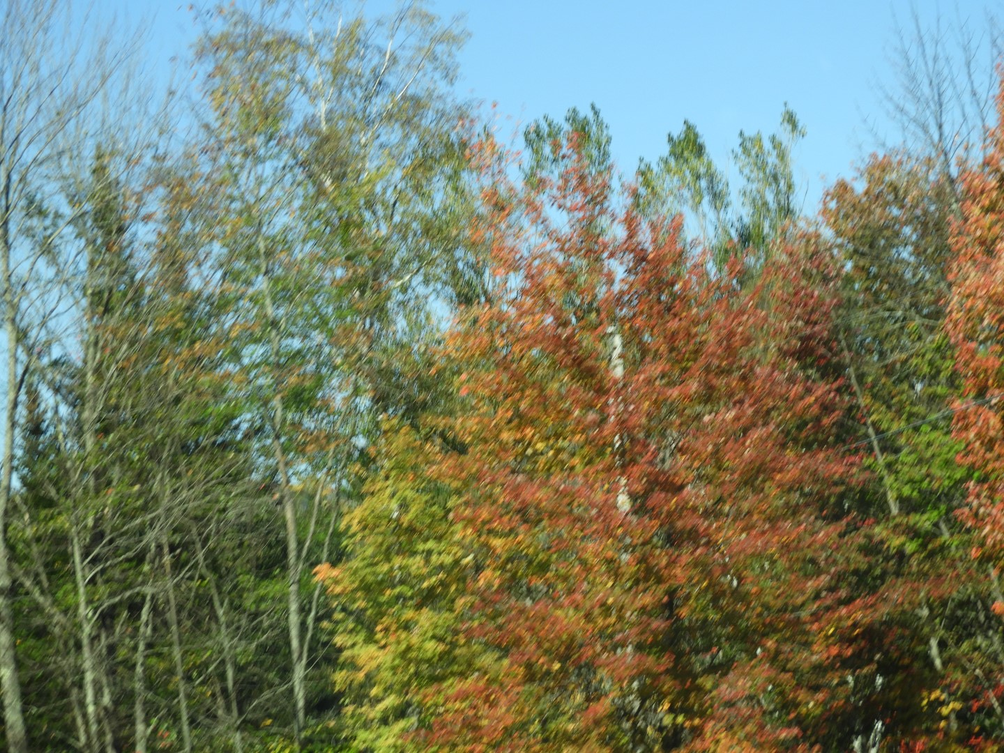 Highway sites in northeastern Vermont 10 of 36 (#0135)