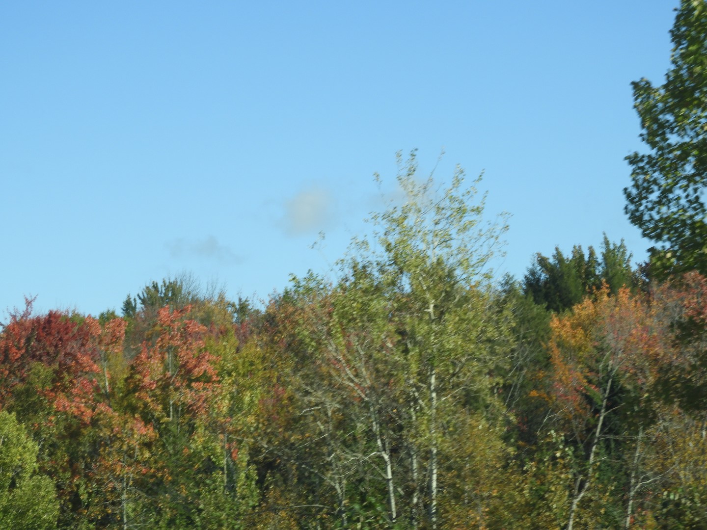 Highway sites in northeastern Vermont 13 of 36 (#0138)