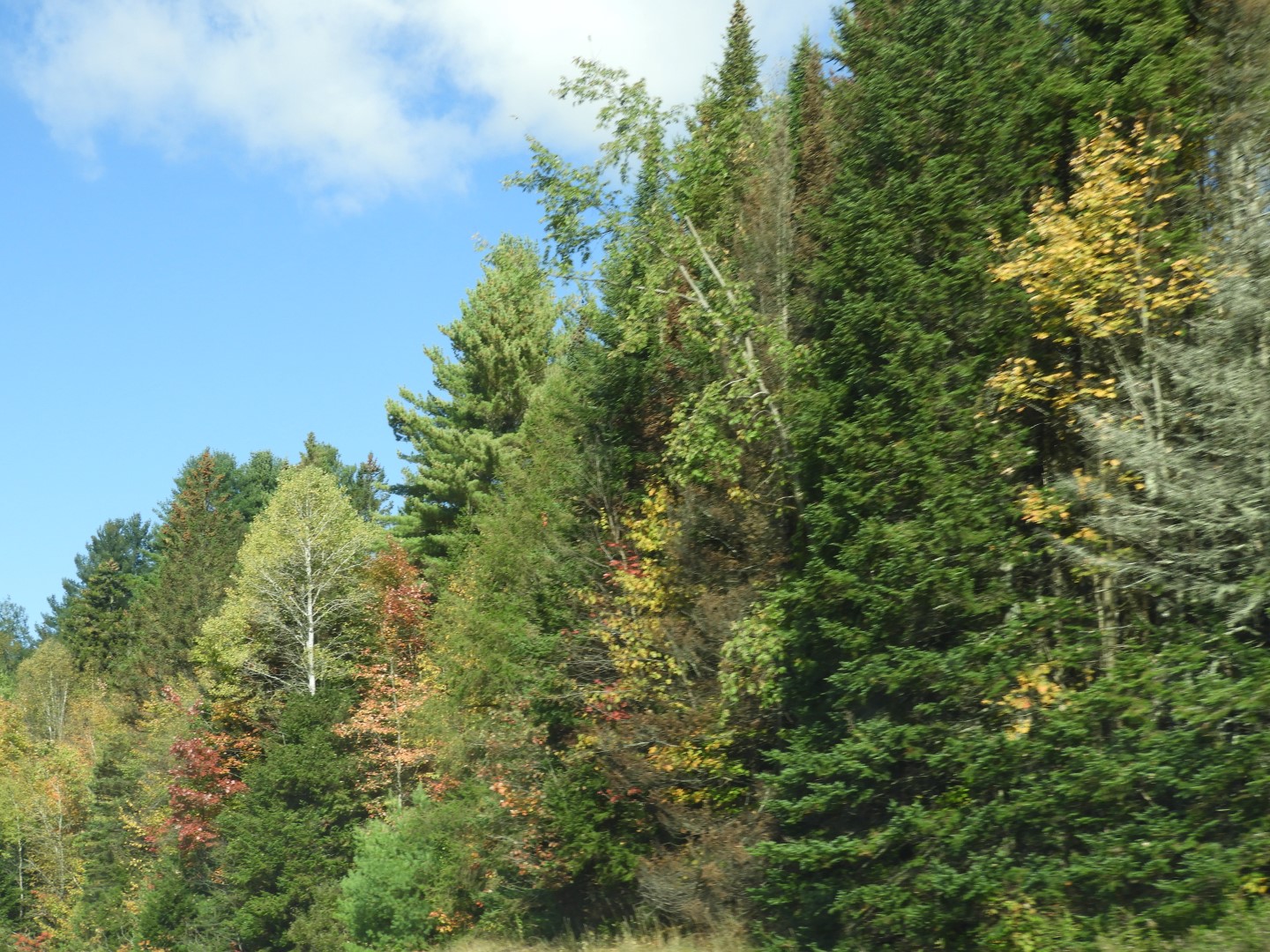 Highway sites in northeastern Vermont 21 of 36 (#0156)