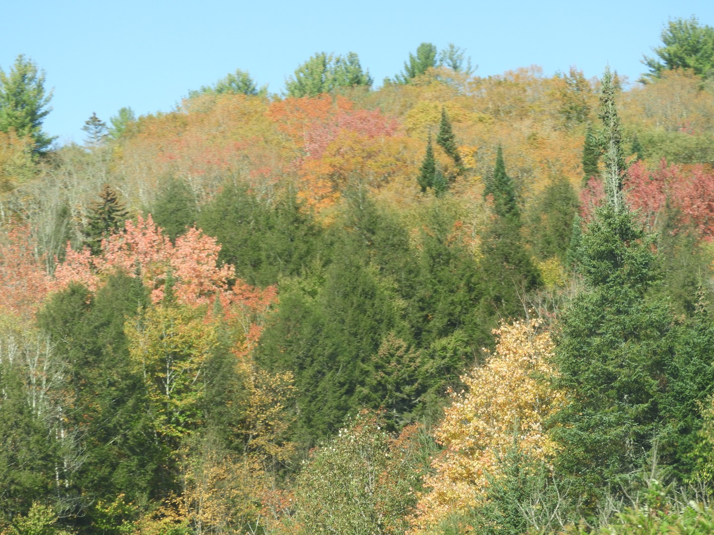 Highway sites in northeastern Vermont 26 of 36 (#0168)