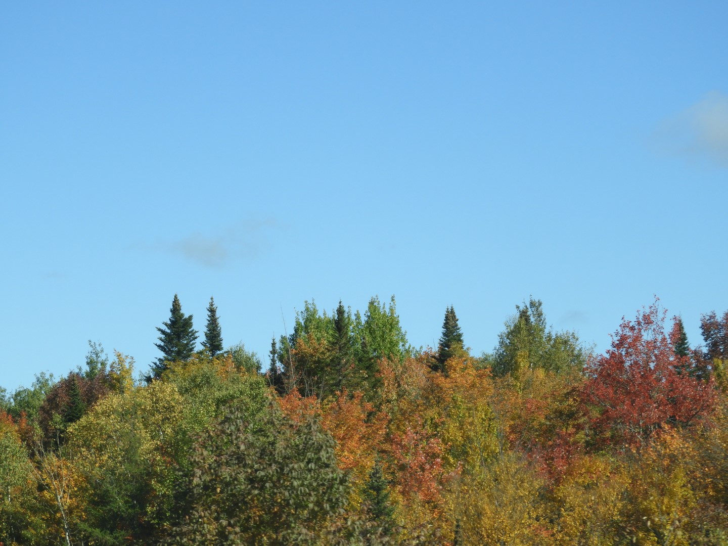 Highway sites in northeastern Vermont 32 of 36 (#0182)