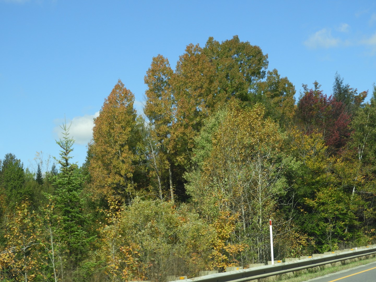 Magog and Sherbrooke of Quebec CN  4 of  6 (#0206)