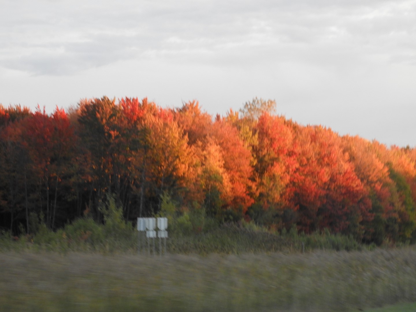 Driving to Quebec City CN  3 of  5 (#0228)