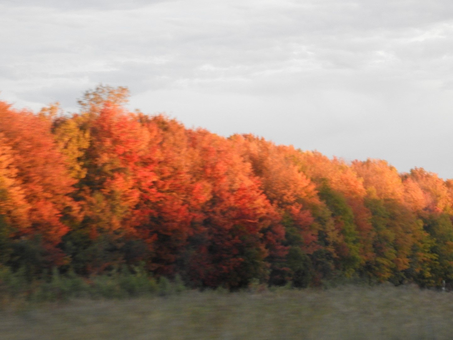 Driving to Quebec City CN  4 of  5 (#0229)