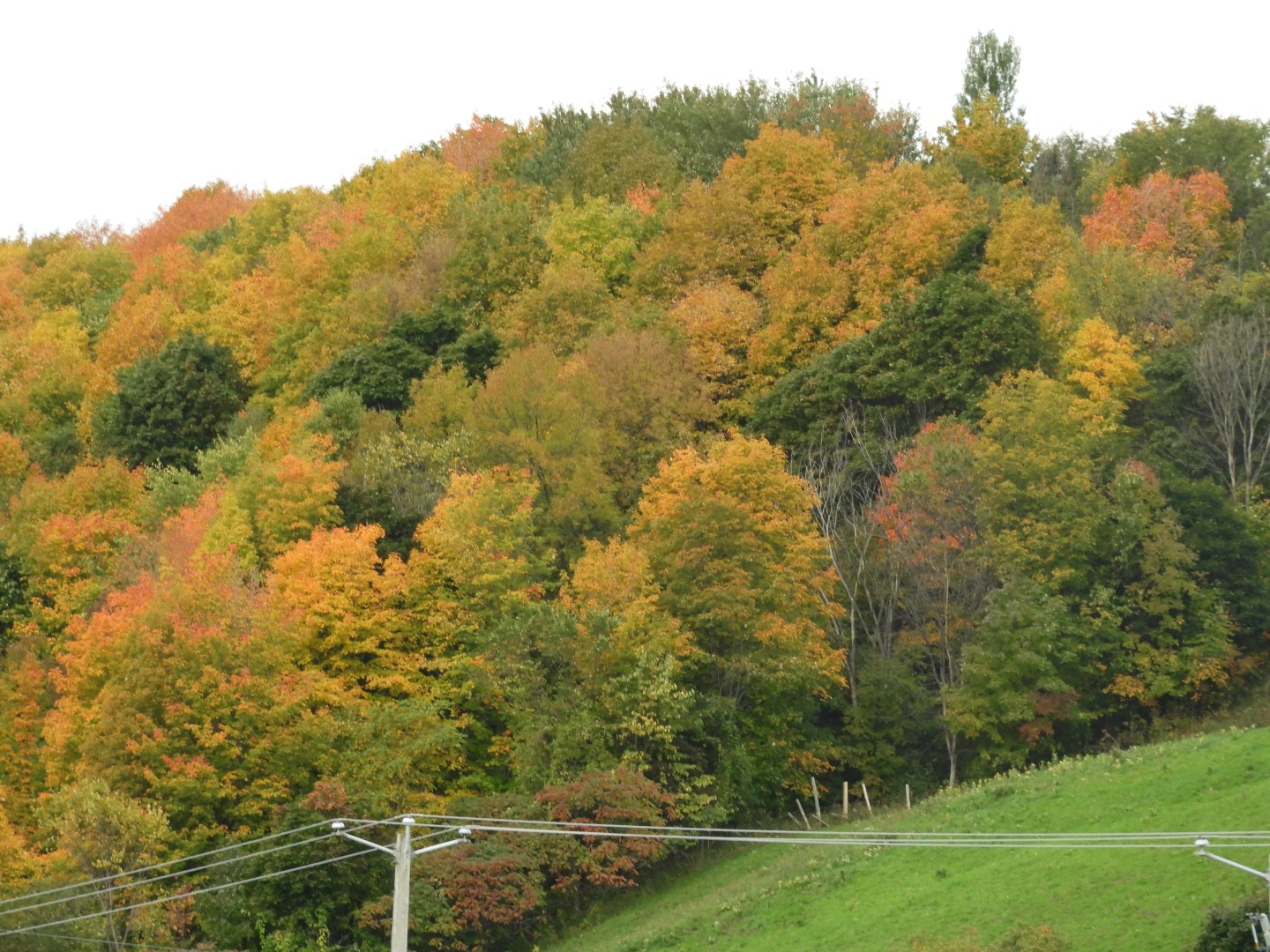 Quebec City CN  2 of  9 (#0249)