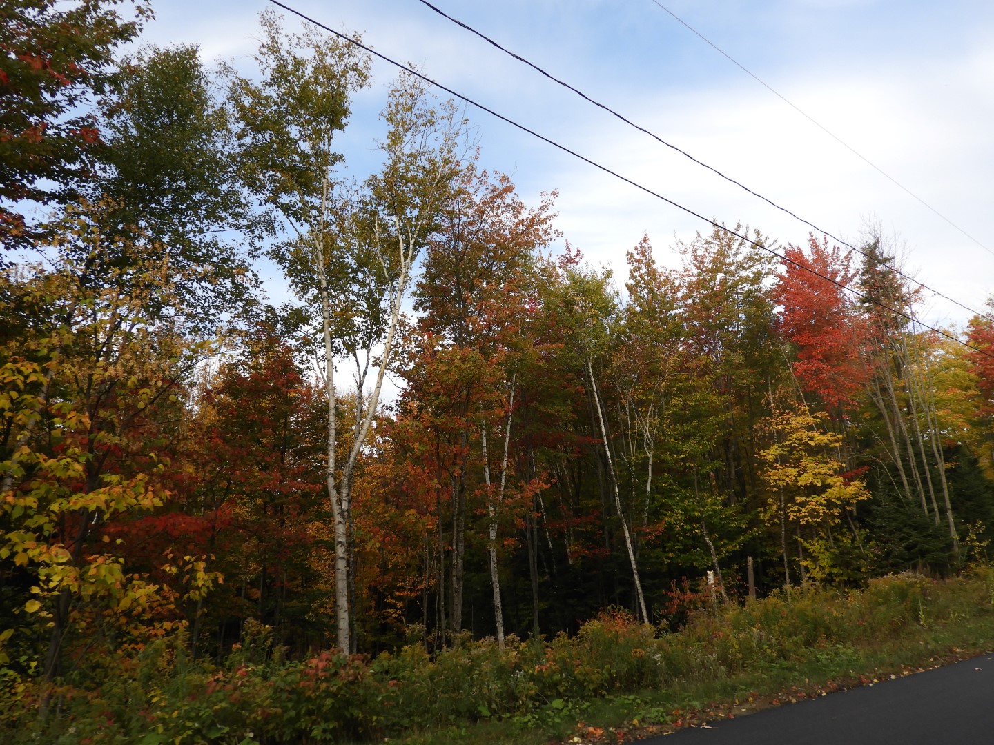 Quebec City CN  5 of  9 (#0260)