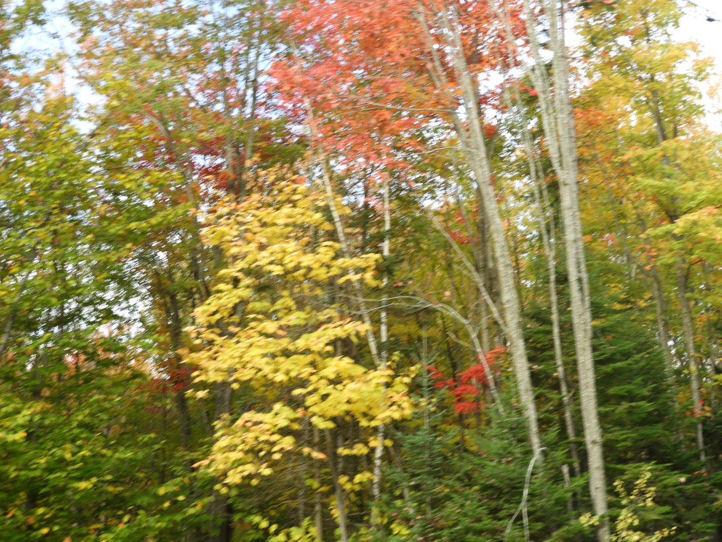 Quebec City CN  6 of  9 (#0261)