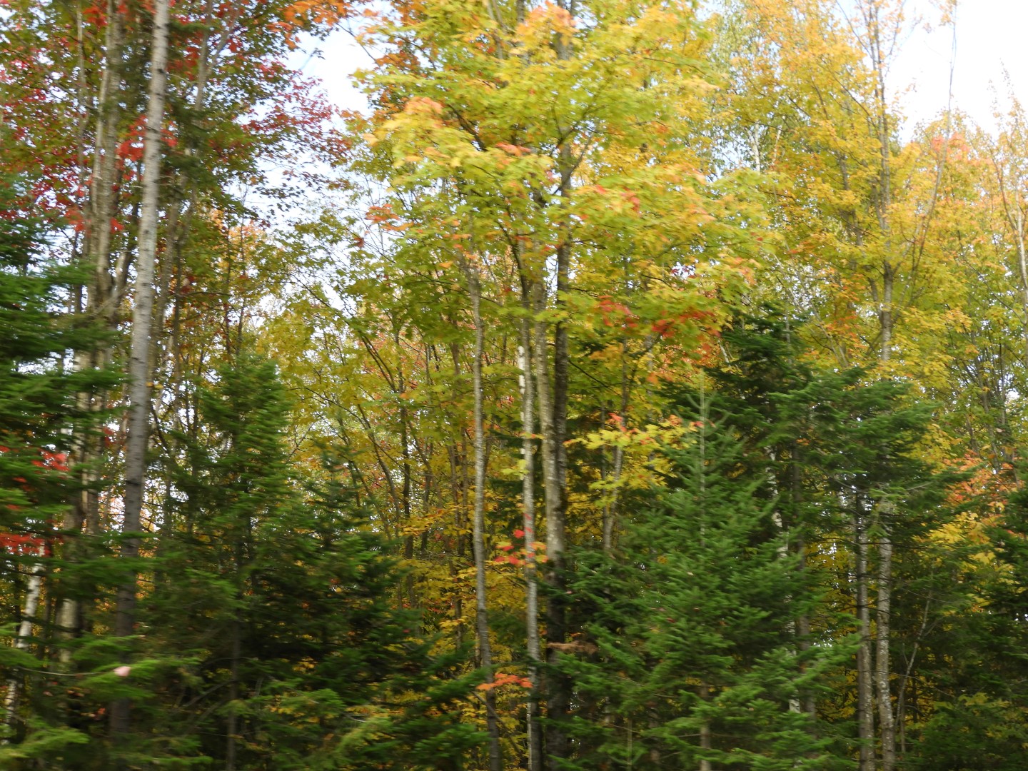 Quebec City CN  7 of  9 (#0263)