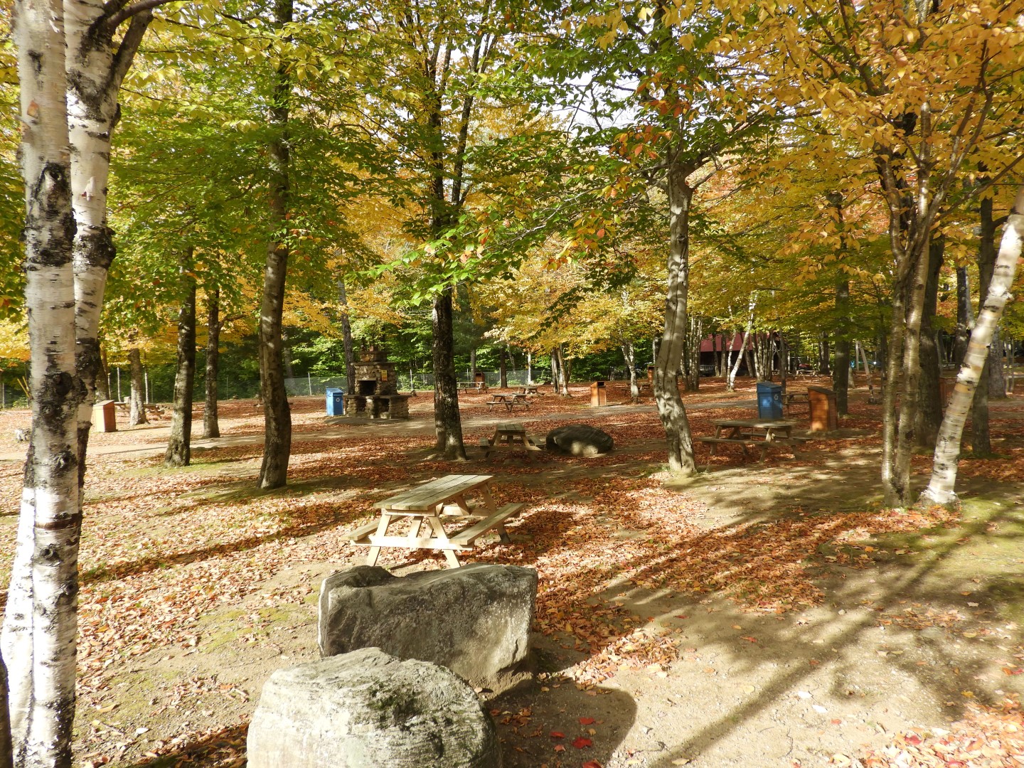Canyon Sainte Anne northeast of Quebec City CN  4 of 57 (#0268)
