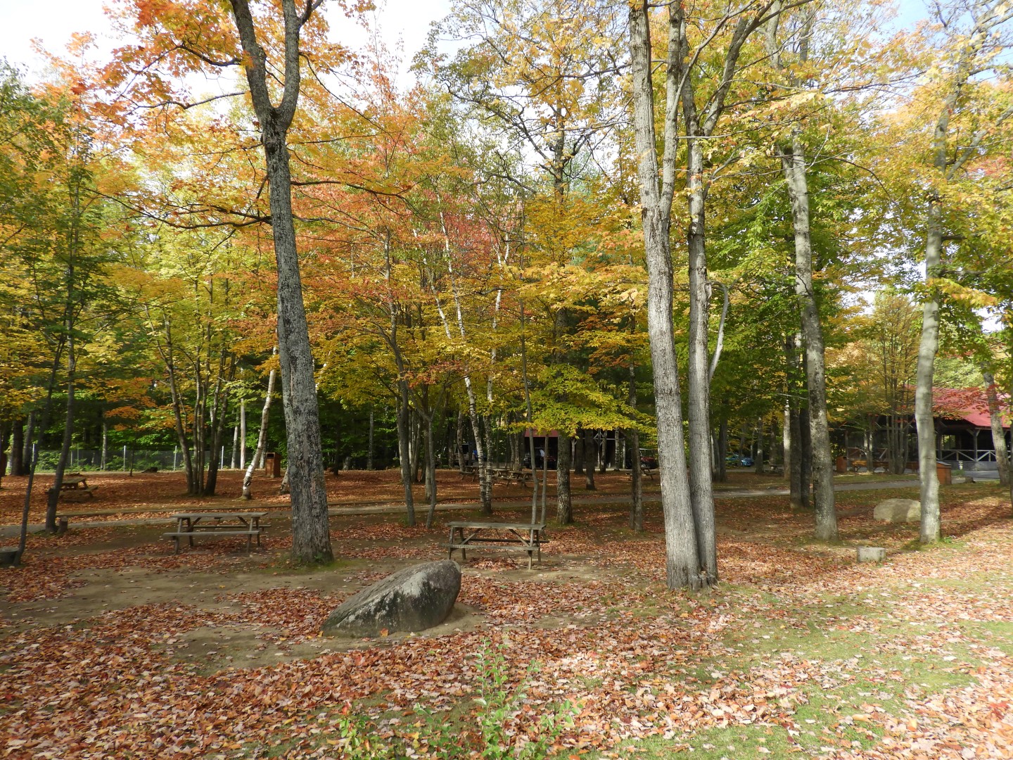 Canyon Sainte Anne northeast of Quebec City CN  3 of 57 (#0271)