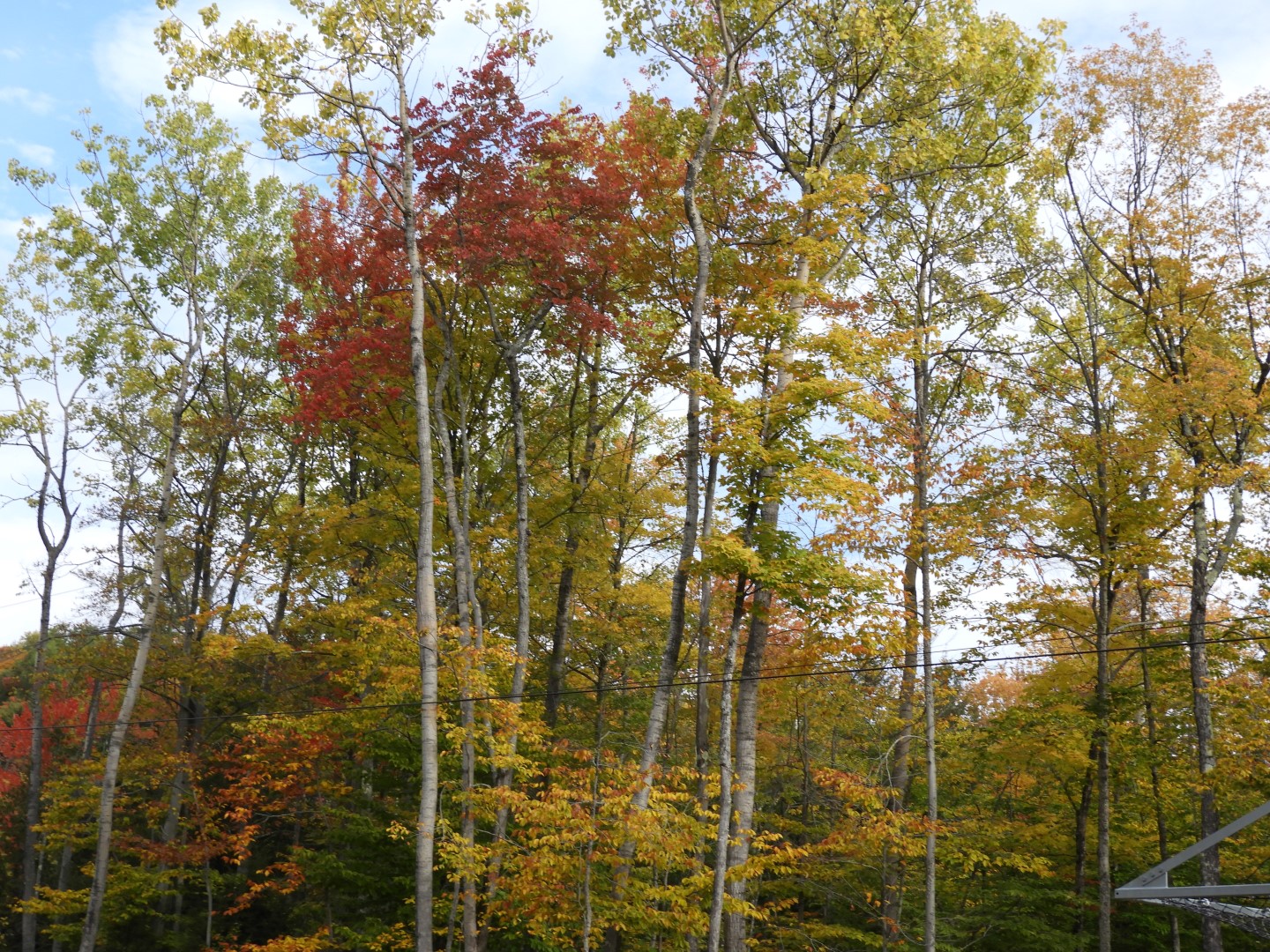 Canyon Sainte Anne northeast of Quebec City CN  7 of 57 (#0273)