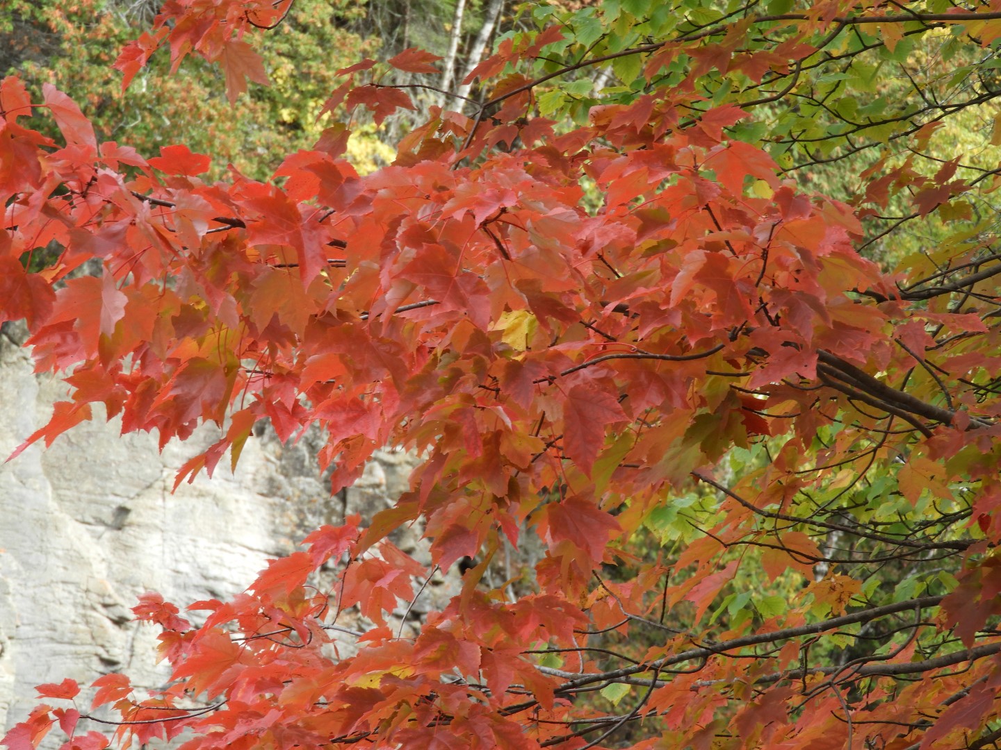 Canyon Sainte Anne northeast of Quebec City CN 11 of 57 (#0277)