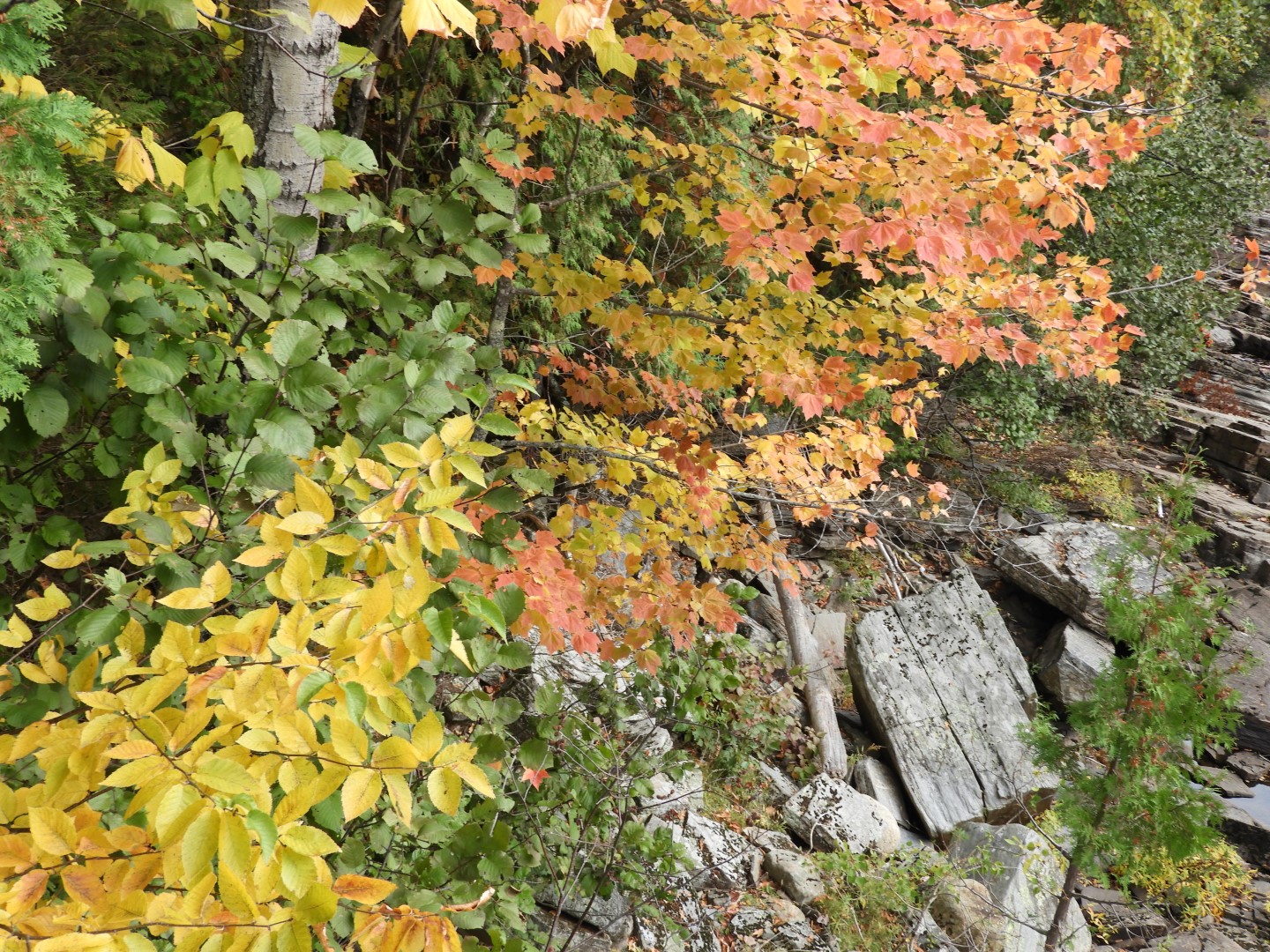 Canyon Sainte Anne northeast of Quebec City CN 34 of 57 (#0300)