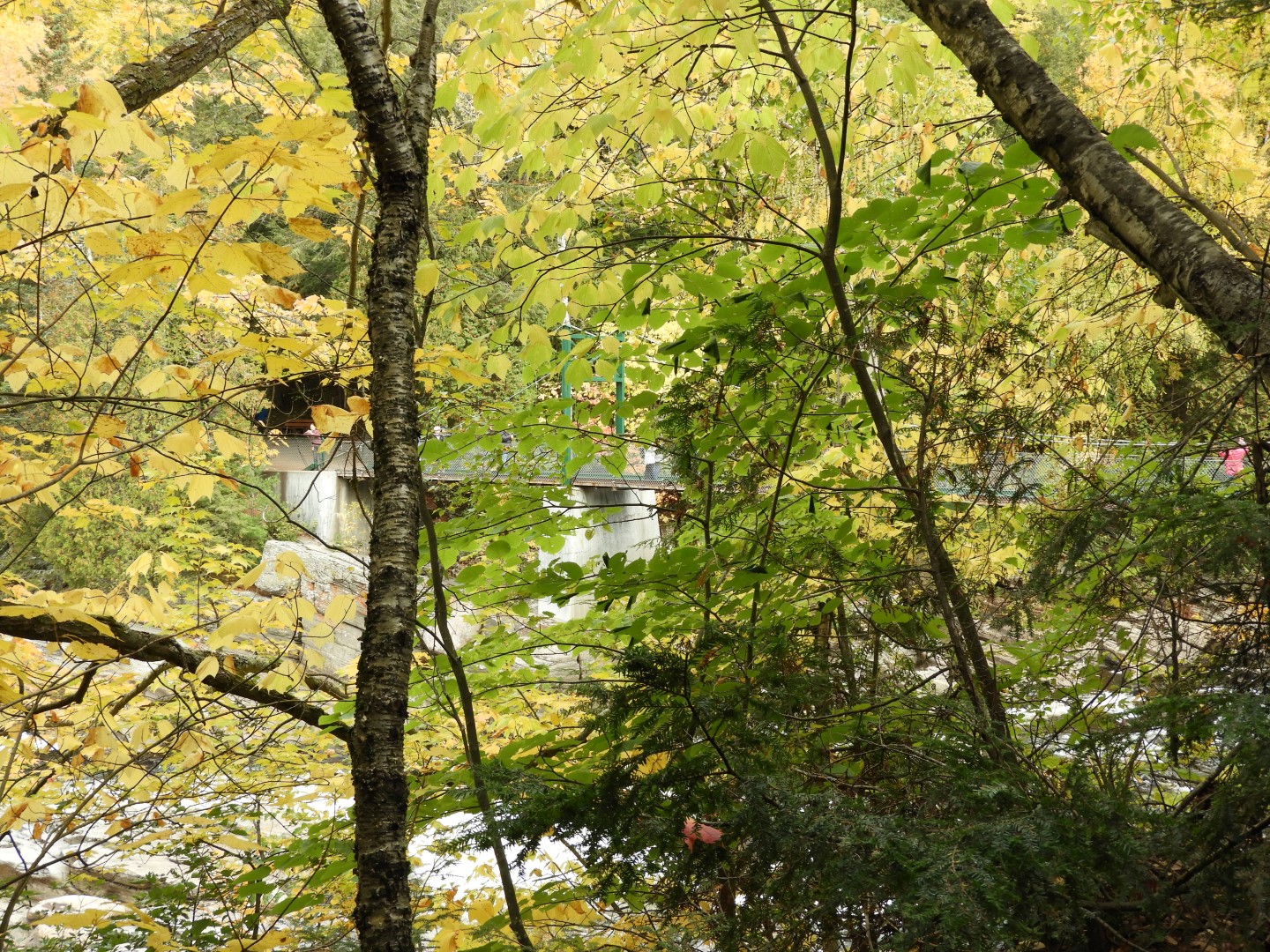 Canyon Sainte Anne northeast of Quebec City CN 35 of 57 (#0301)
