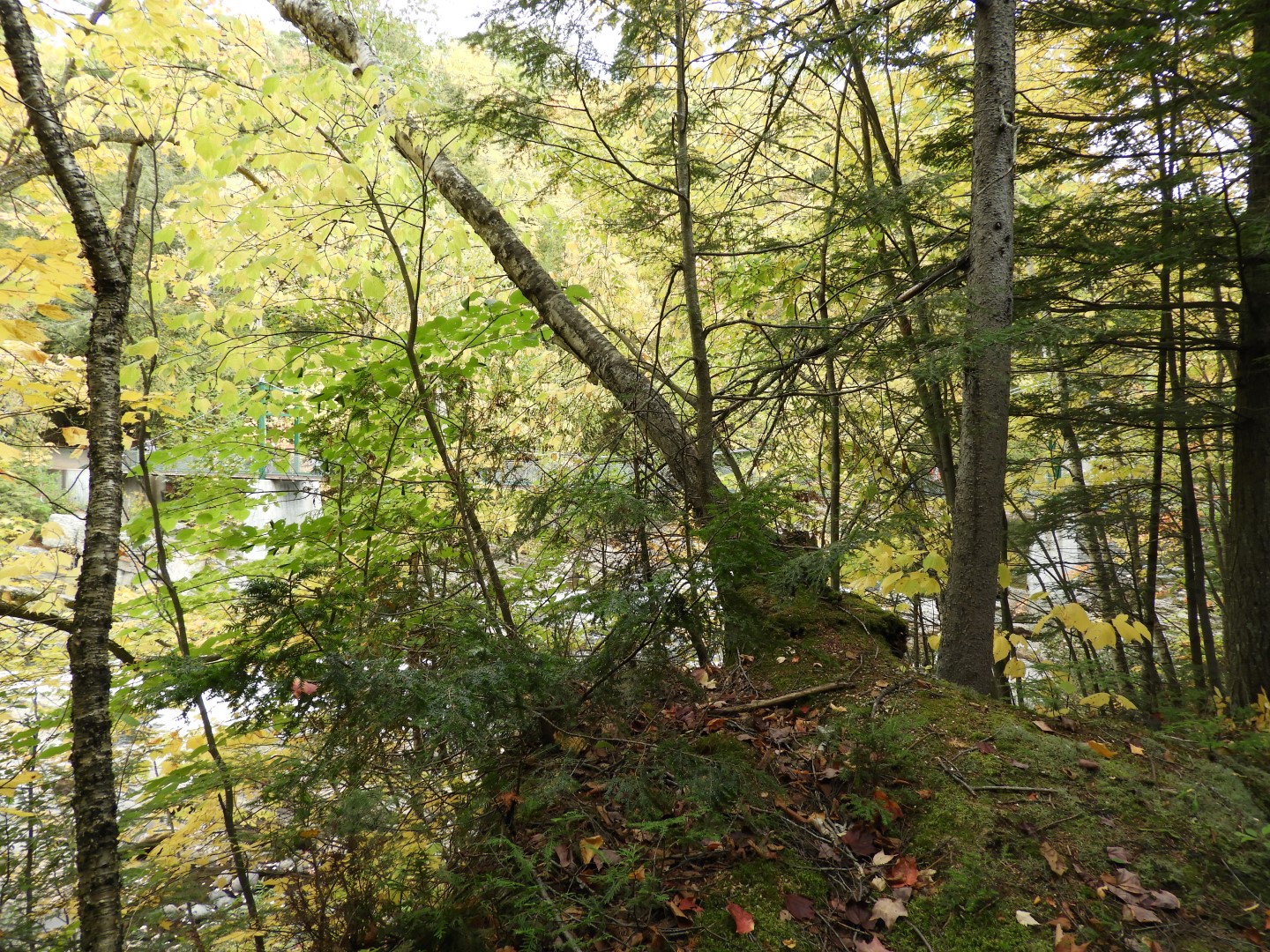 Canyon Sainte Anne northeast of Quebec City CN 37 of 57 (#0303)