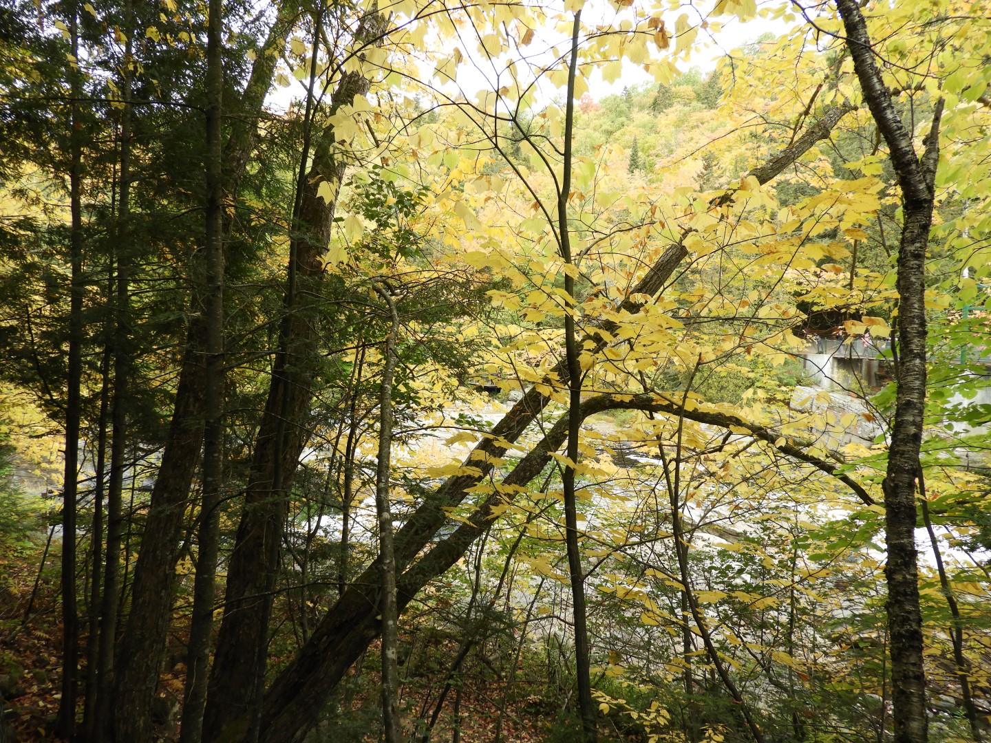 Canyon Sainte Anne northeast of Quebec City CN 38 of 57 (#0304)