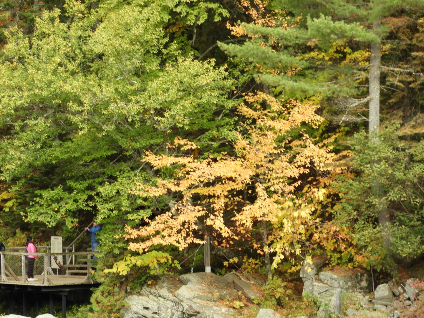 Canyon Sainte Anne northeast of Quebec City CN 40 of 57 (#0306)