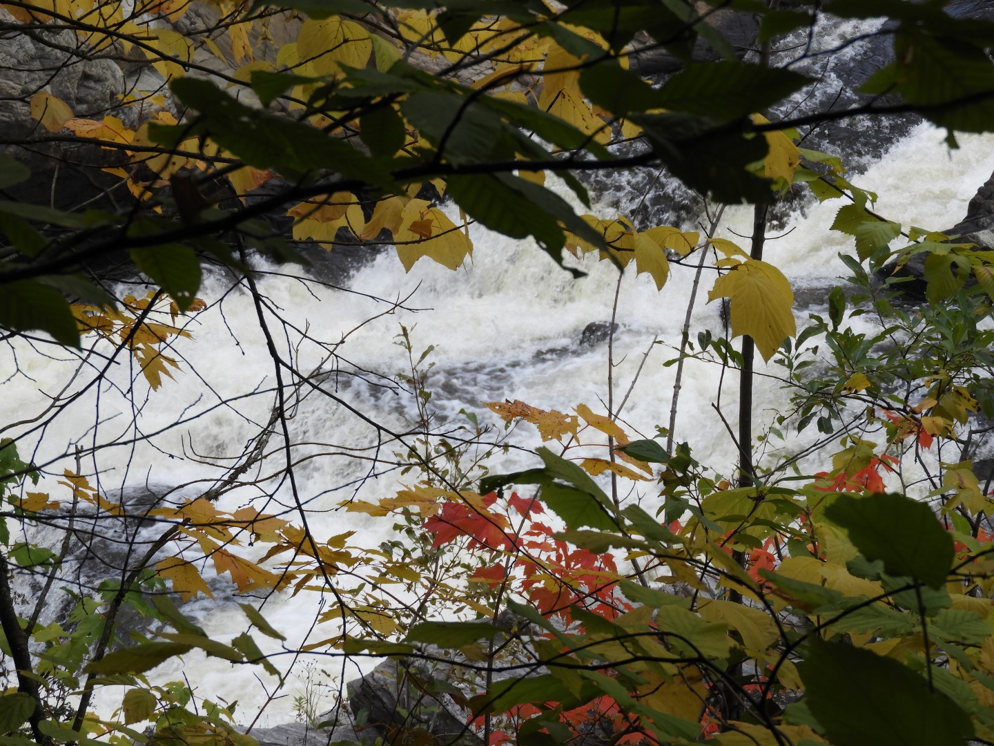 Canyon Sainte Anne northeast of Quebec City CN 41 of 57 (#0307)