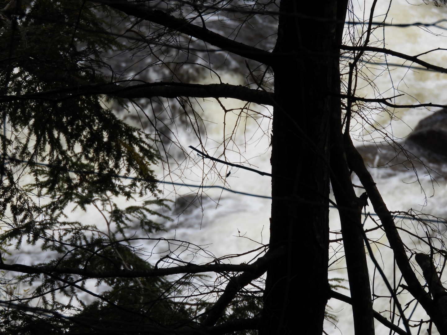 Canyon Sainte Anne northeast of Quebec City CN 47 of 57 (#0313)