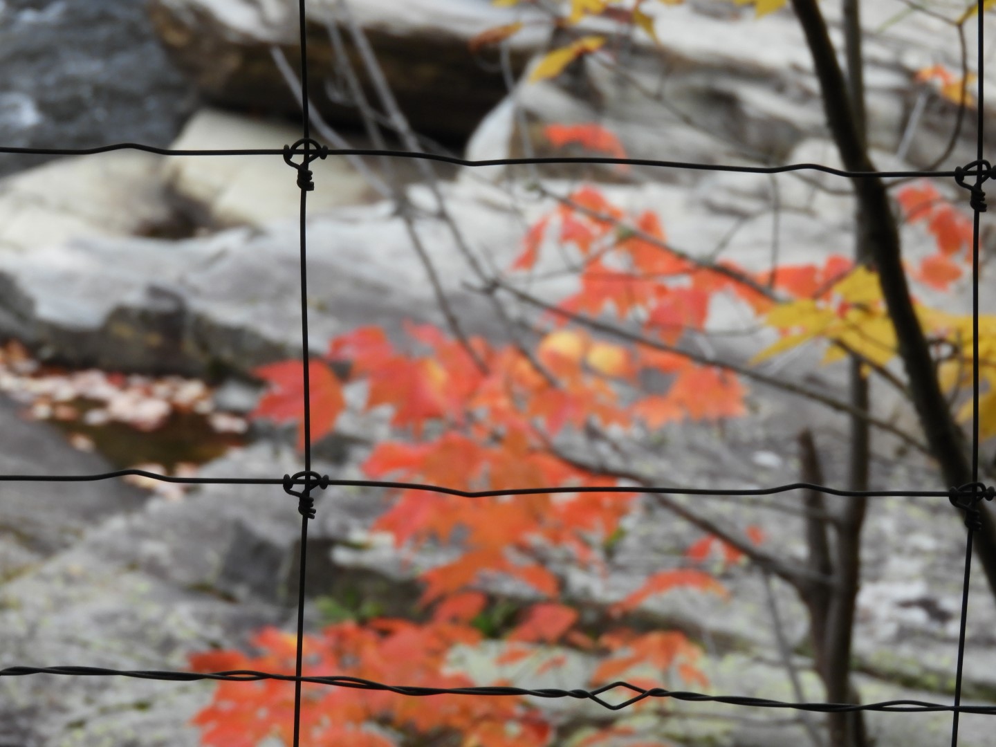 Canyon Sainte Anne northeast of Quebec City CN 48 of 57 (#0314)