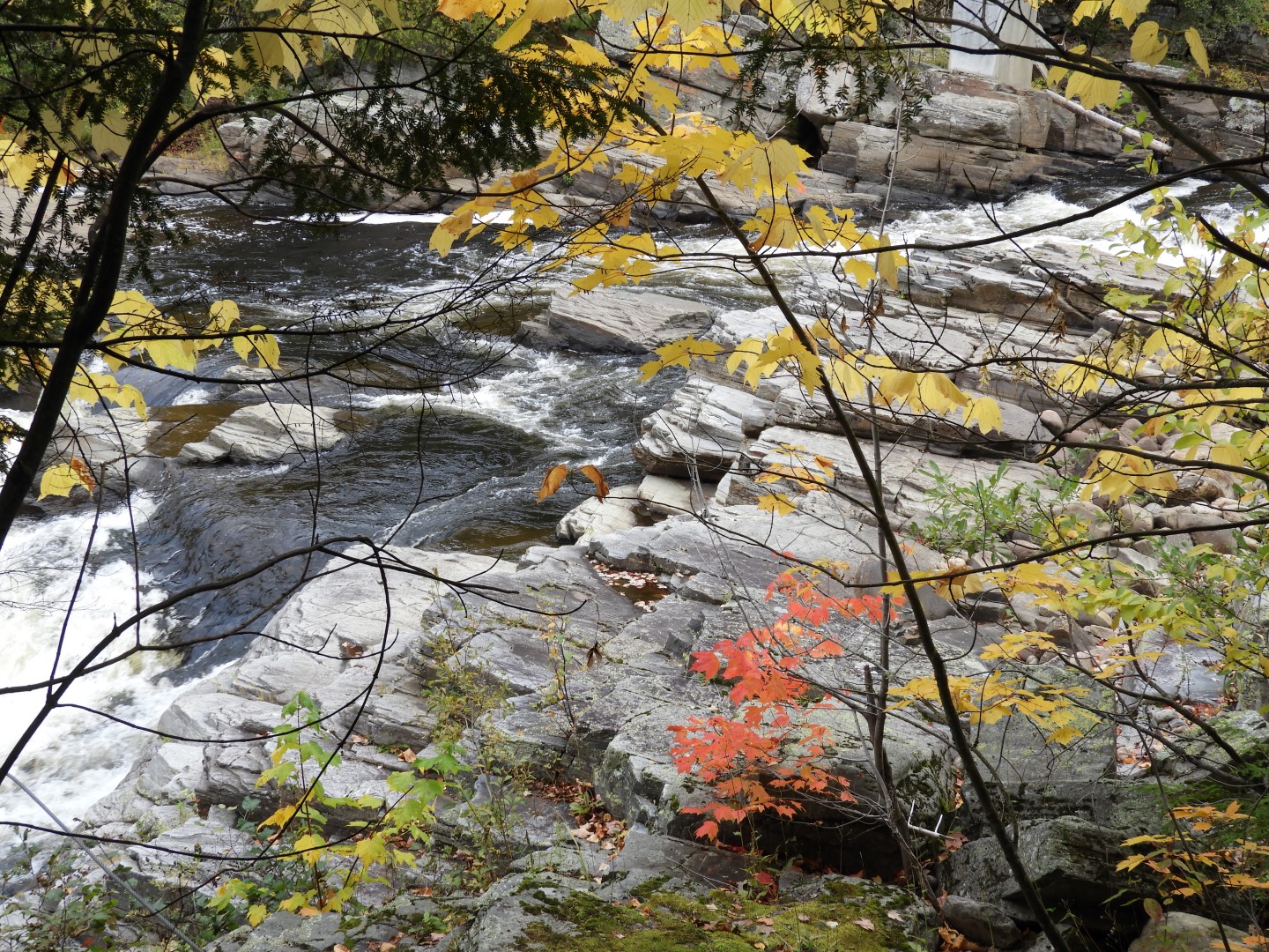 Canyon Sainte Anne northeast of Quebec City CN 49 of 57 (#0315)