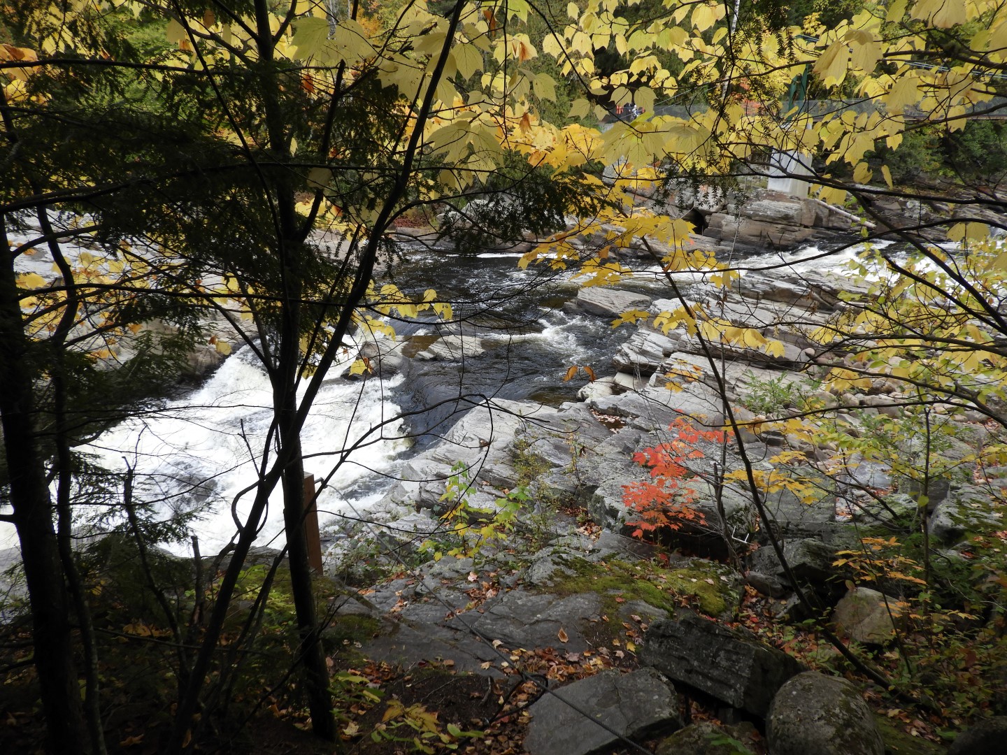 Canyon Sainte Anne northeast of Quebec City CN 50 of 57 (#0316)