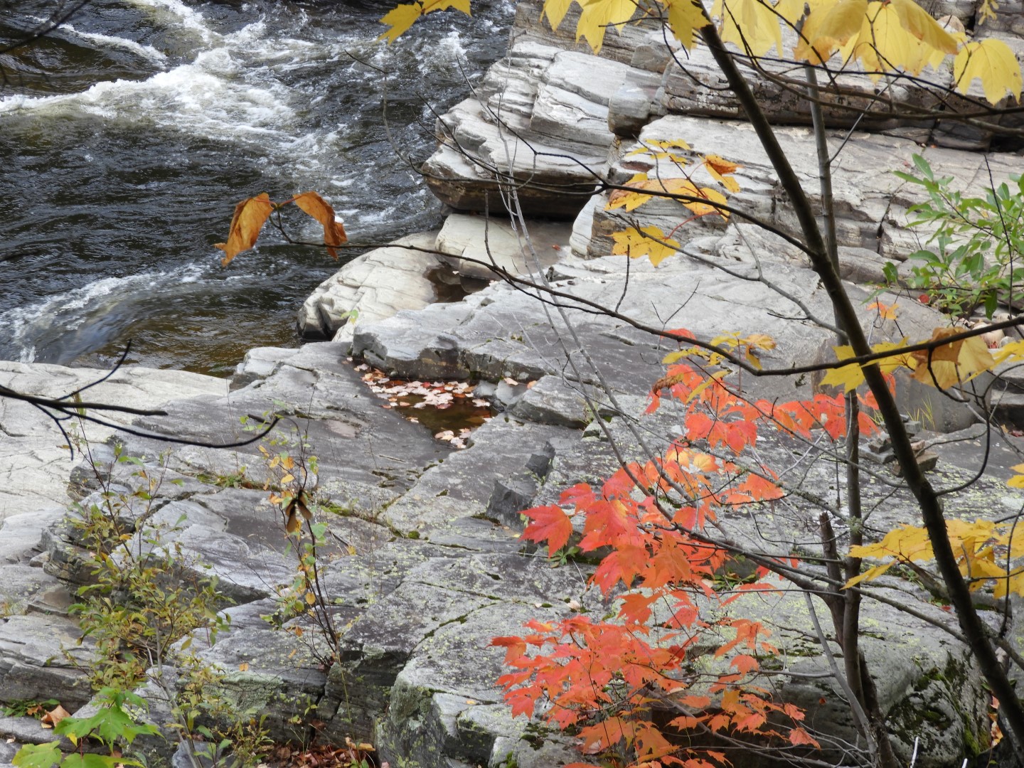 Canyon Sainte Anne northeast of Quebec City CN 51 of 57 (#0317)