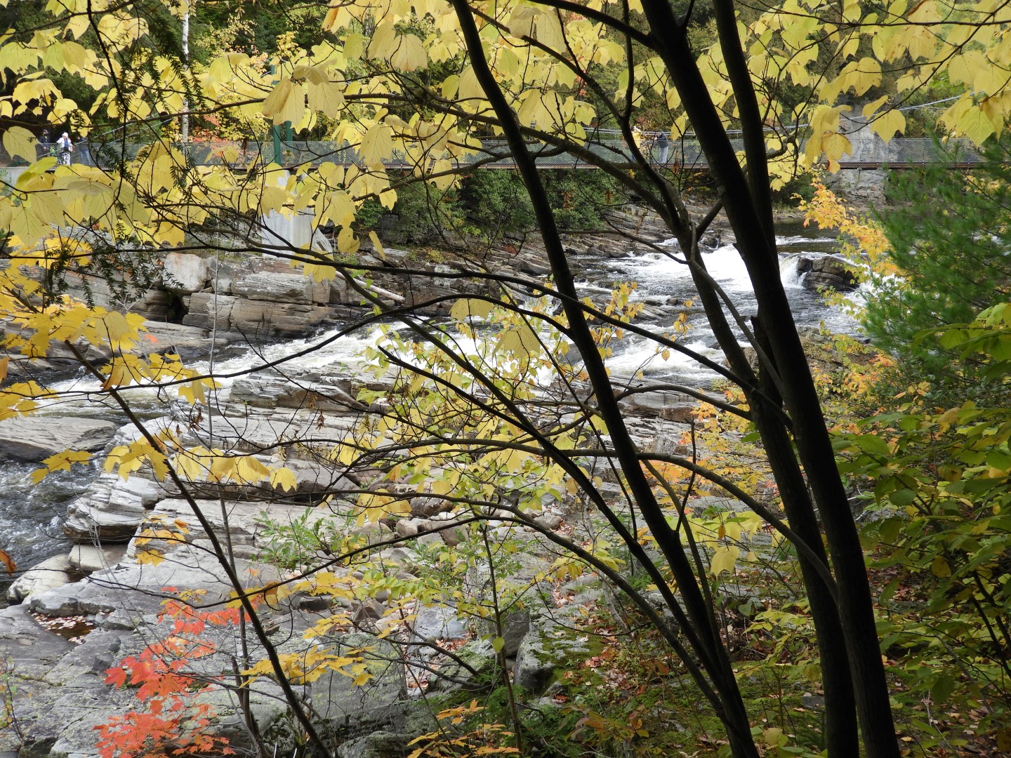 Canyon Sainte Anne northeast of Quebec City CN 52 of 57 (#0318)