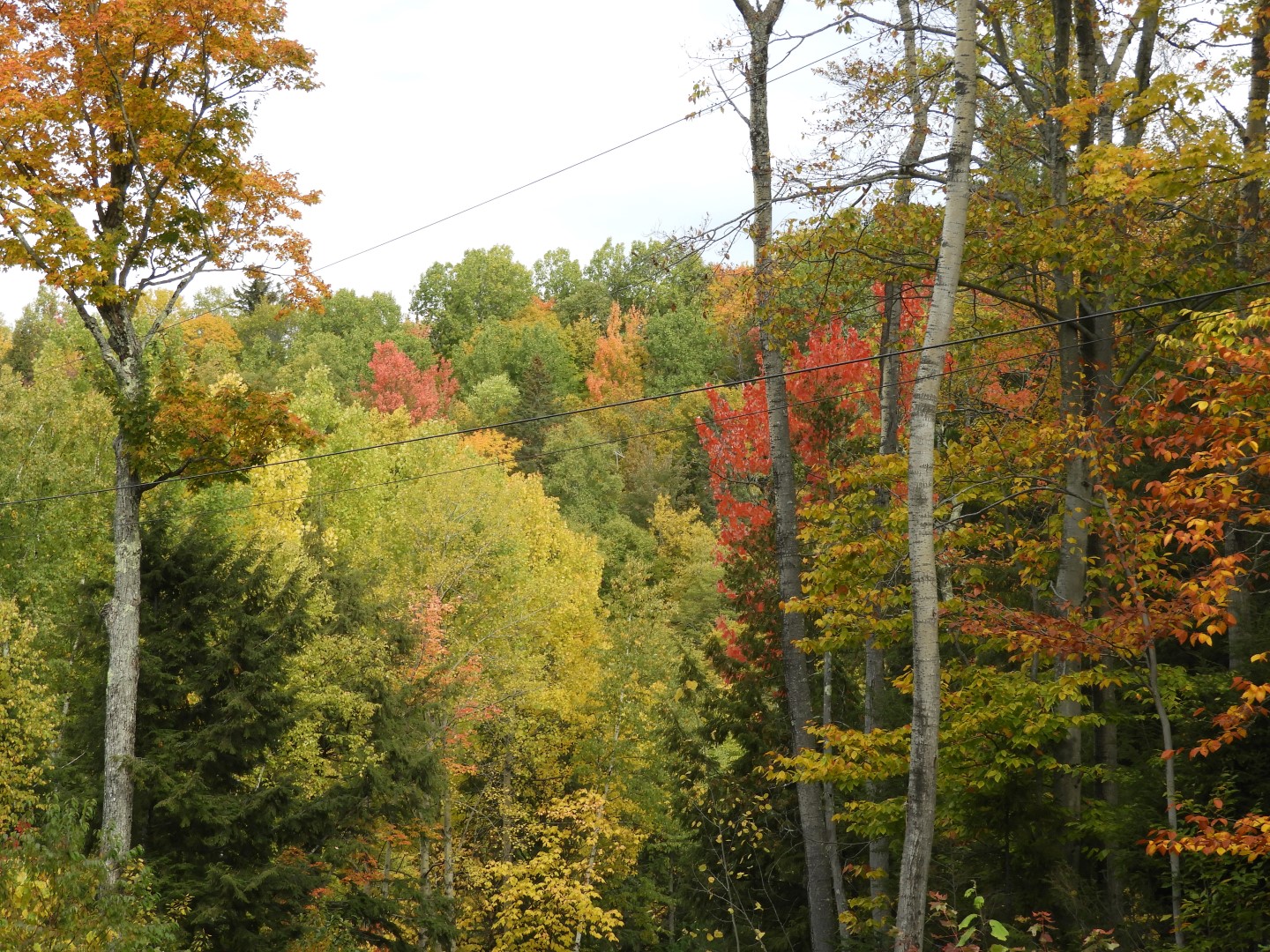 Canyon Sainte Anne northeast of Quebec City CN 57 of 57 (#0323)
