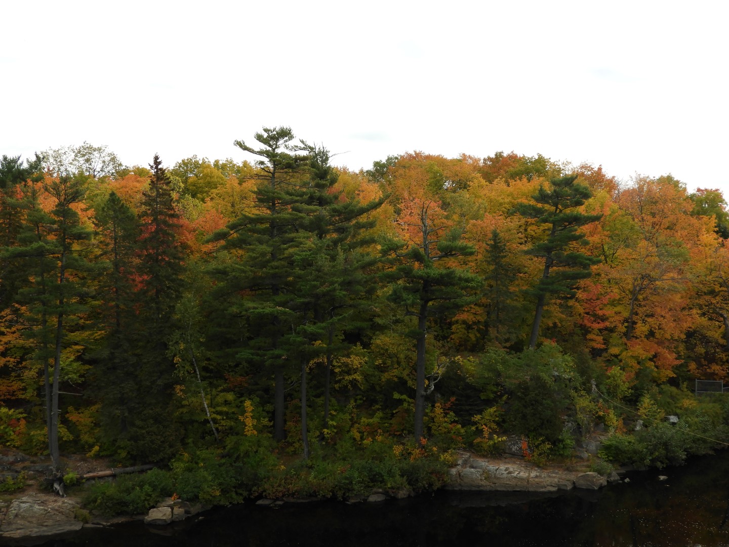 Miscellaneous in Quebec City CN  3 of  8 (#0343)