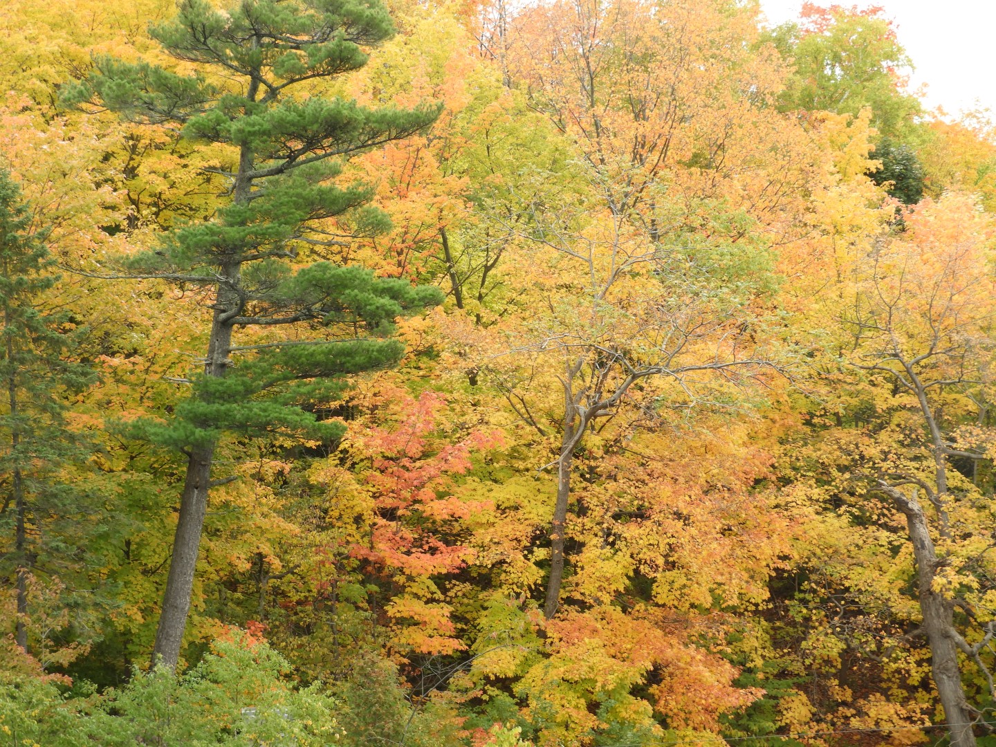 Miscellaneous in Quebec City CN  6 of  8 (#0346)
