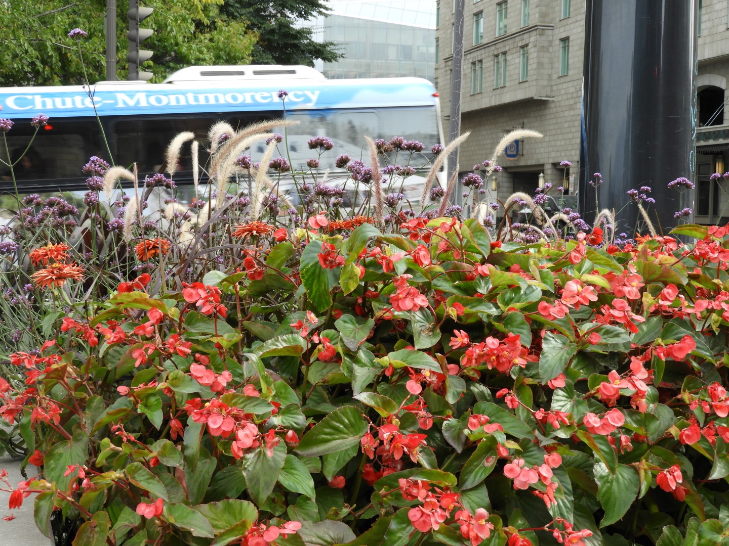 Looking-west skyline of Quebec City CN  2 of  5 (#0361)