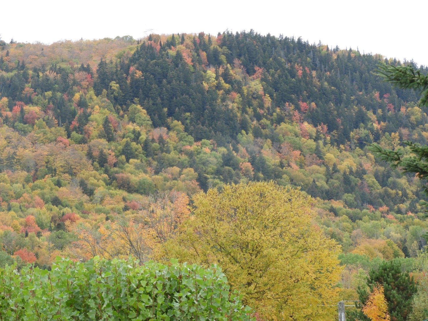 North of Quebec City CN  4 of 12 (#0389)
