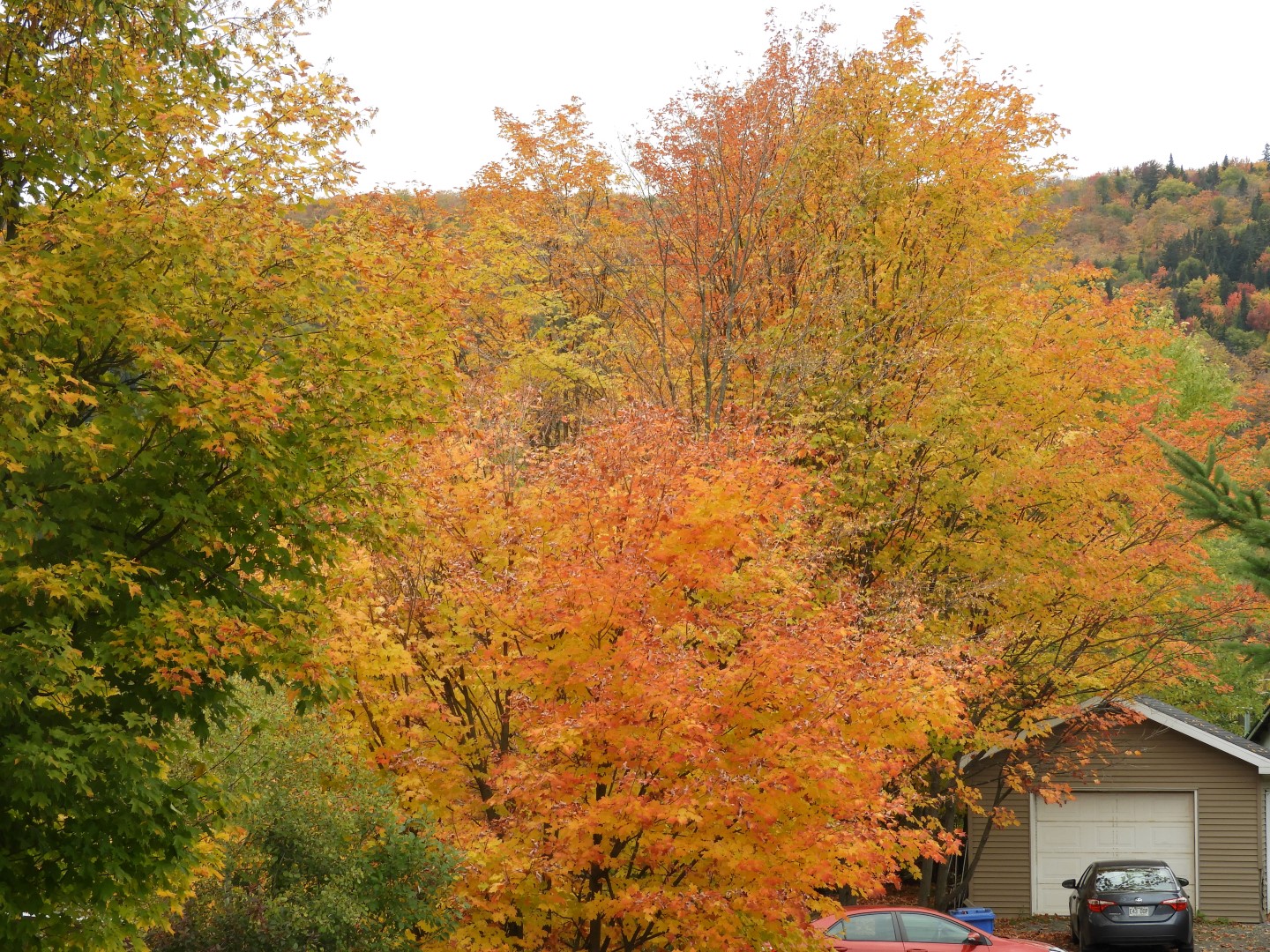 North of Quebec City CN  5 of 12 (#0390)