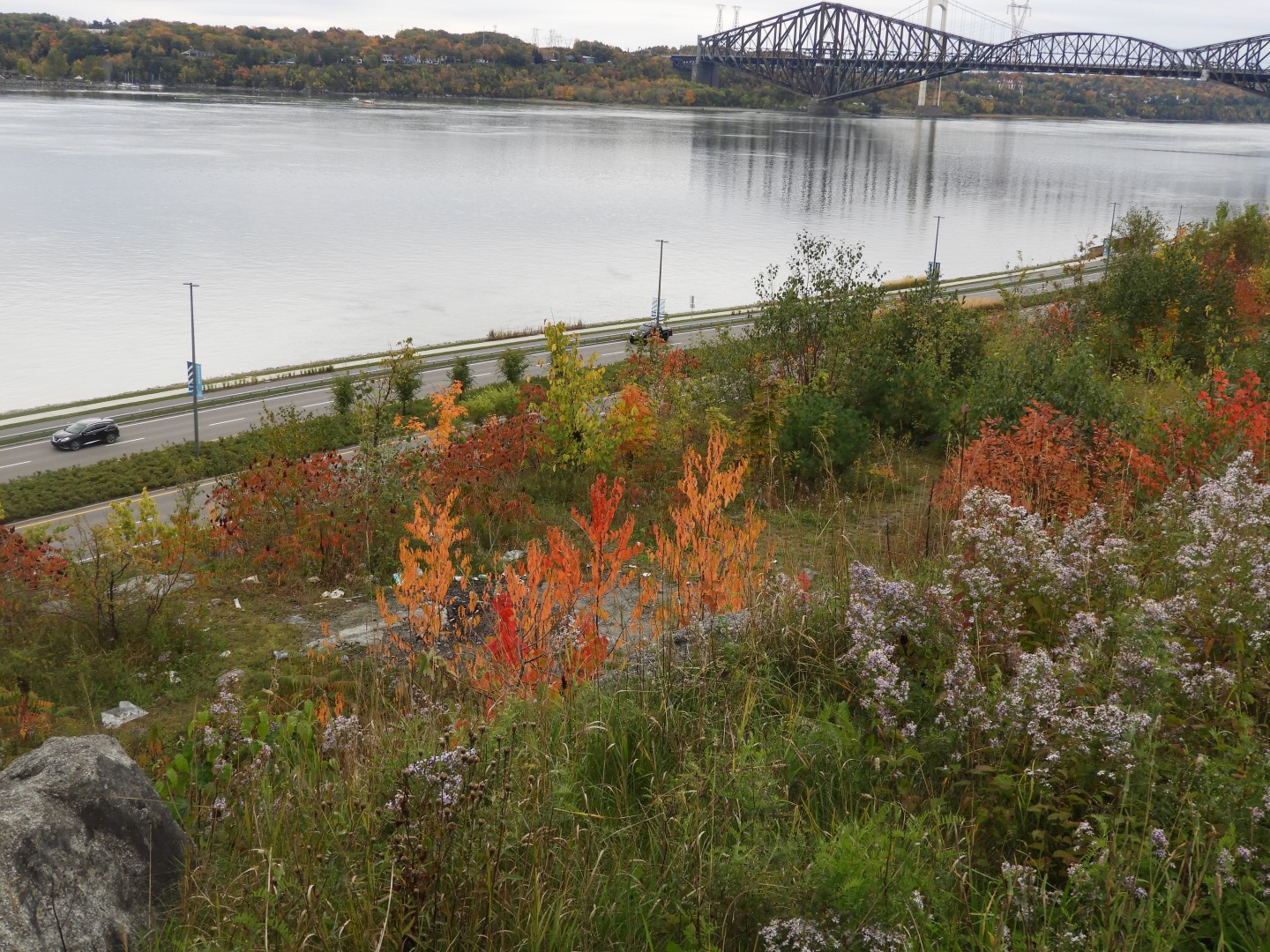 St. Lawrence River at Quebec City CN 18 of 21 (#0404)