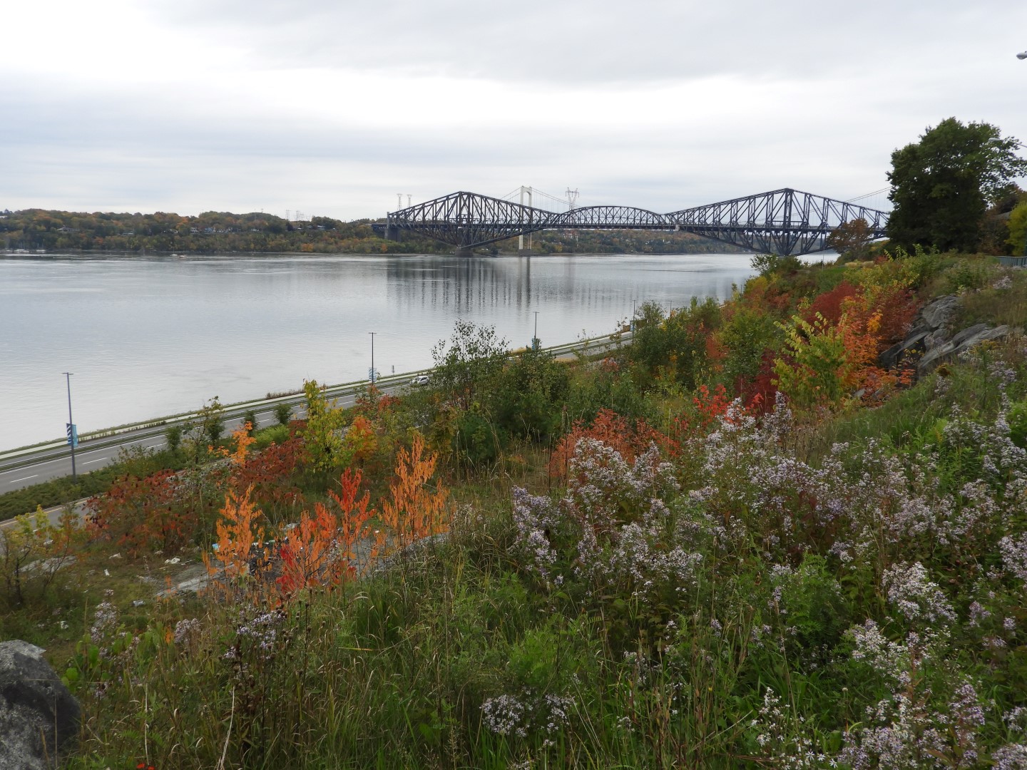 St. Lawrence River at Quebec City CN 19 of 21 (#0405)
