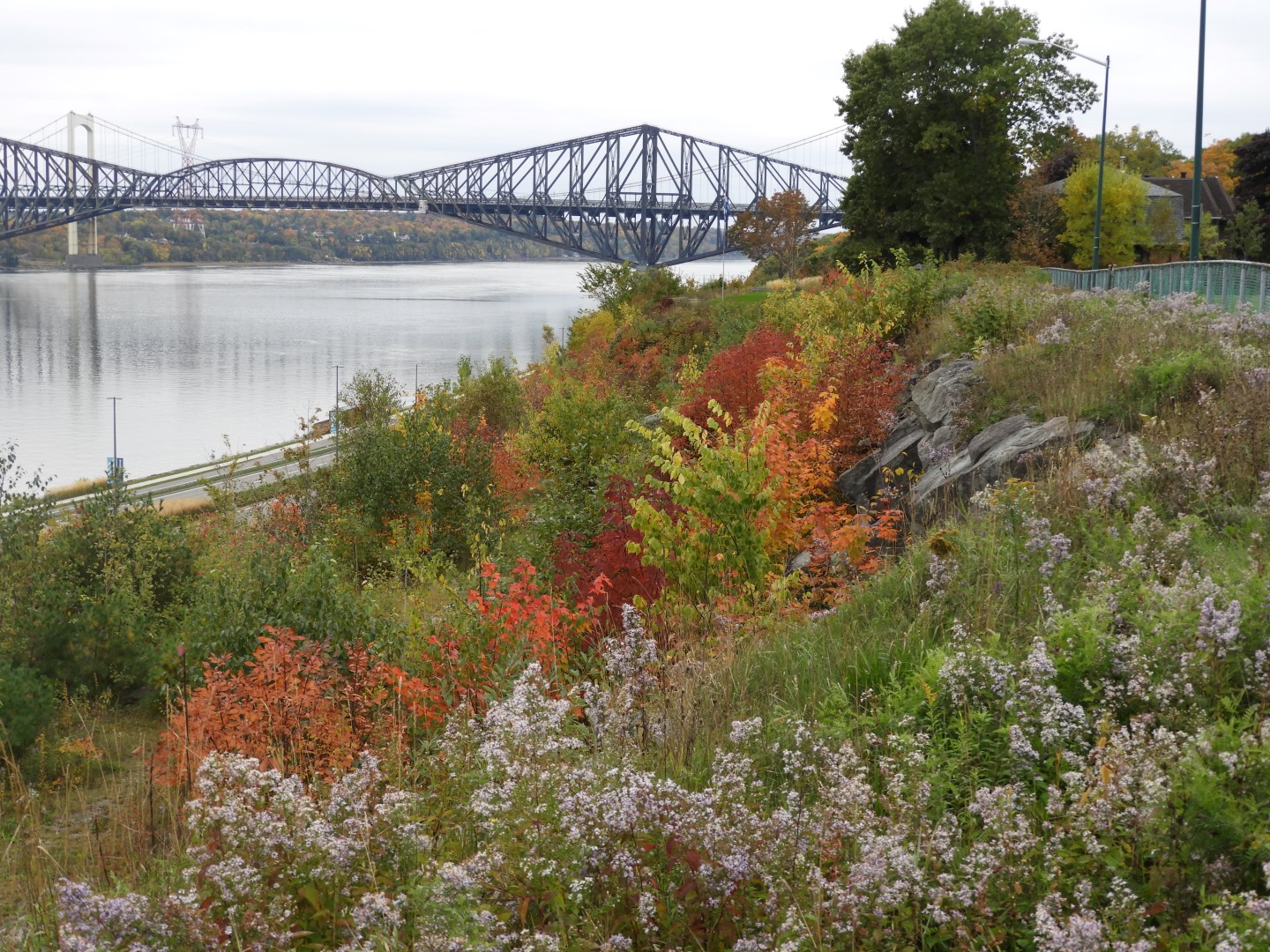 St. Lawrence River at Quebec City CN 20 of 21 (#0406)